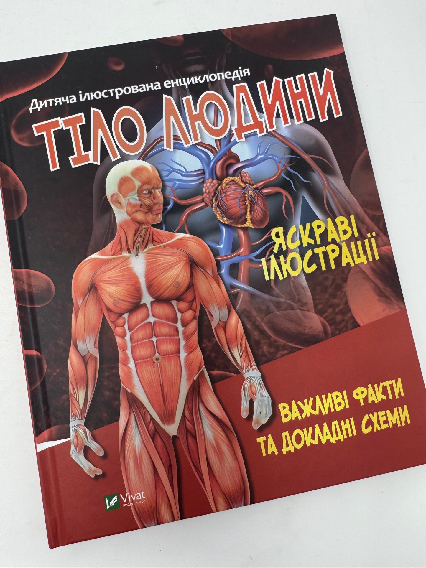 Тіло людини. Важливі факти та докладні схеми. Дитяча ілюстрована енциклопедія / Дитячі енциклопедії