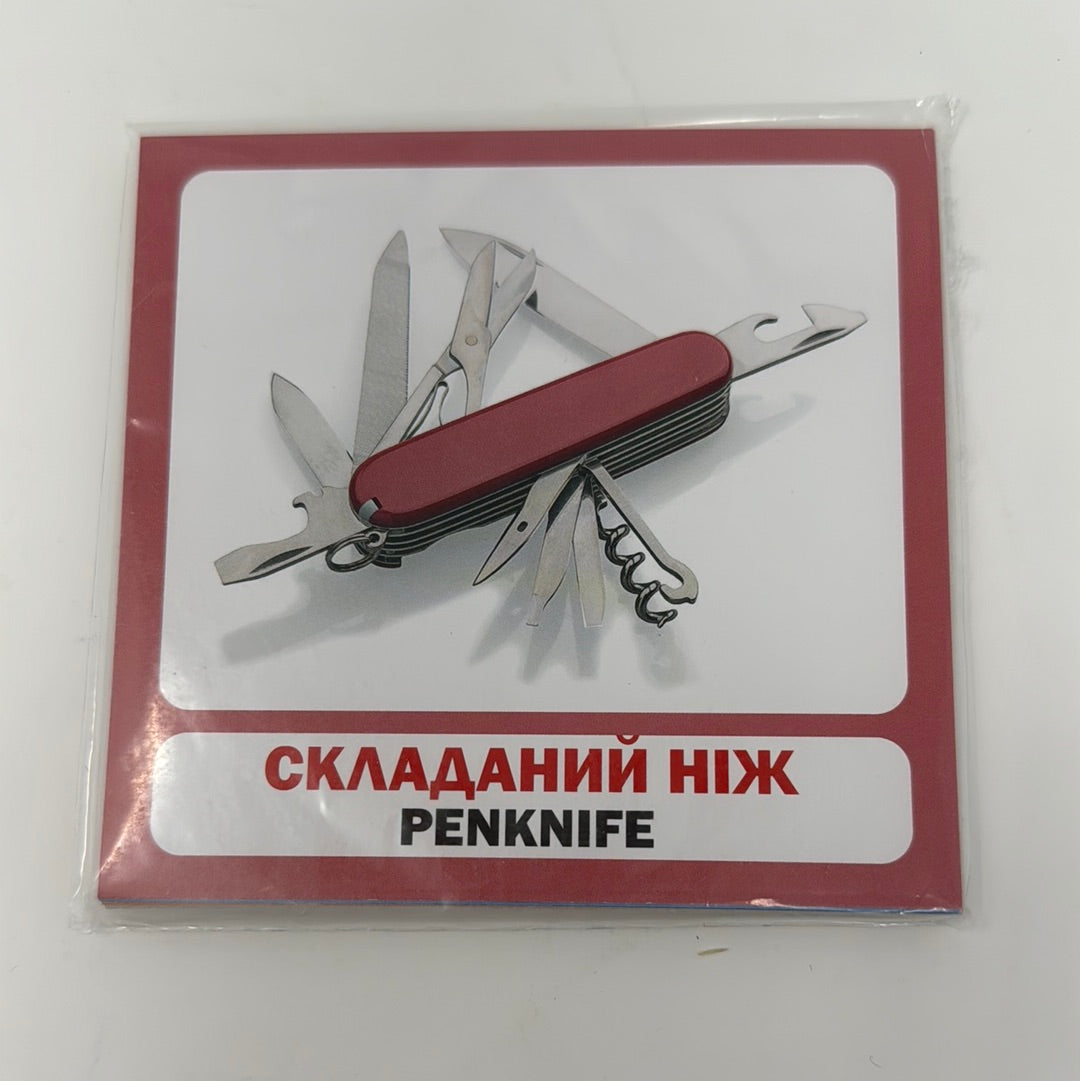 Мандри. Travels. Двомовні картки / Двомовні картки Домана в США