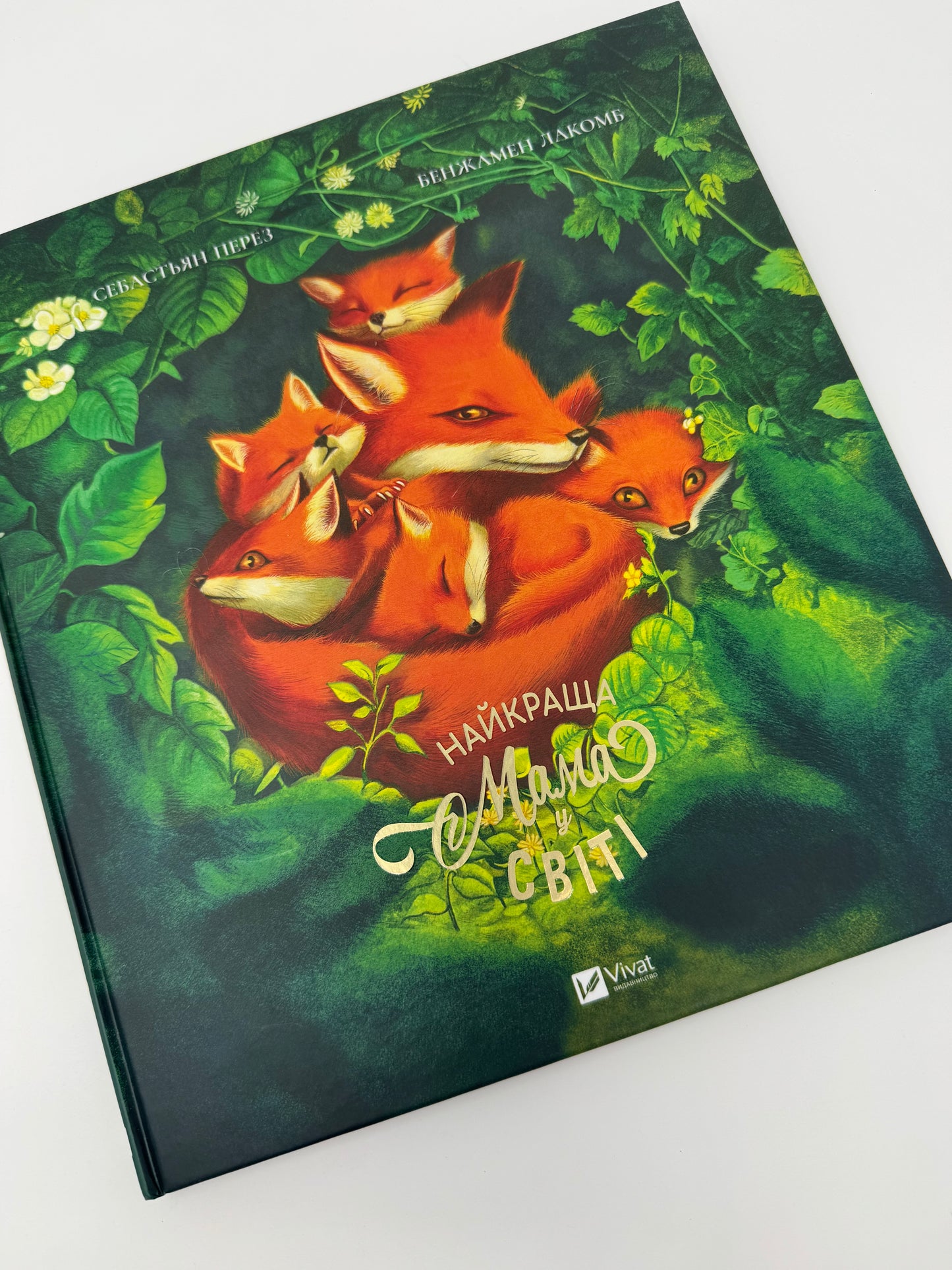 Найкраща мама у світі. Себастьян Перез / Книги про маму для дітей
