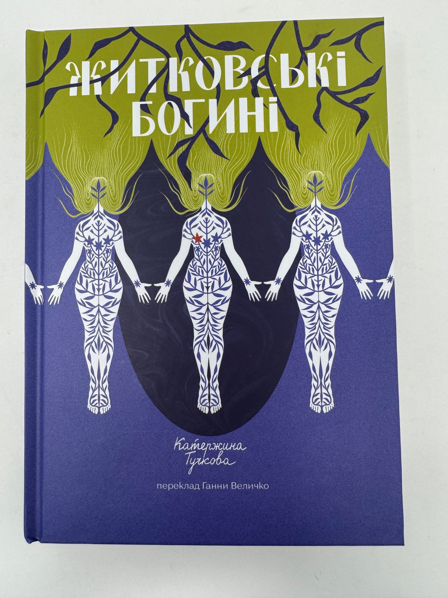 Житковські Богині. Катержина Тучкова / Книги українською купити в США