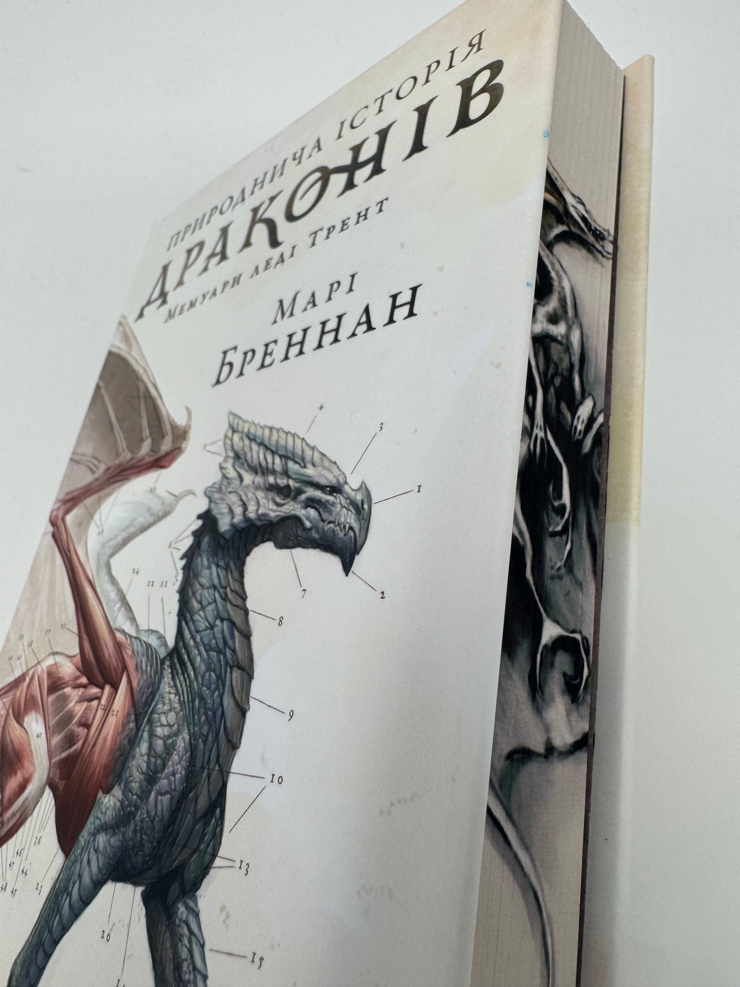 Природнича історія драконів. Limited edition. Марі Бреннан / Світові бестселери українською