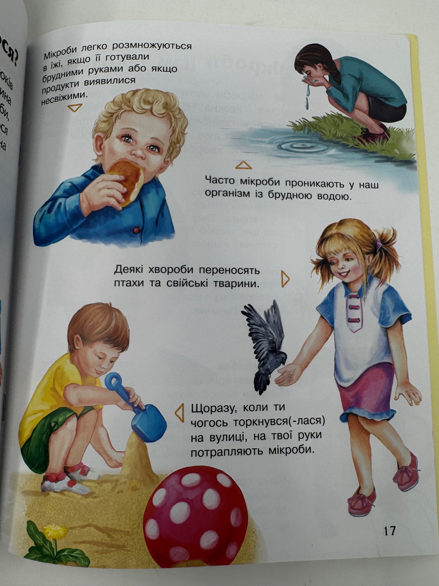 Мікроби. Енциклопедія дошкільника / Пізнавальні книги та енциклопедії для дітей