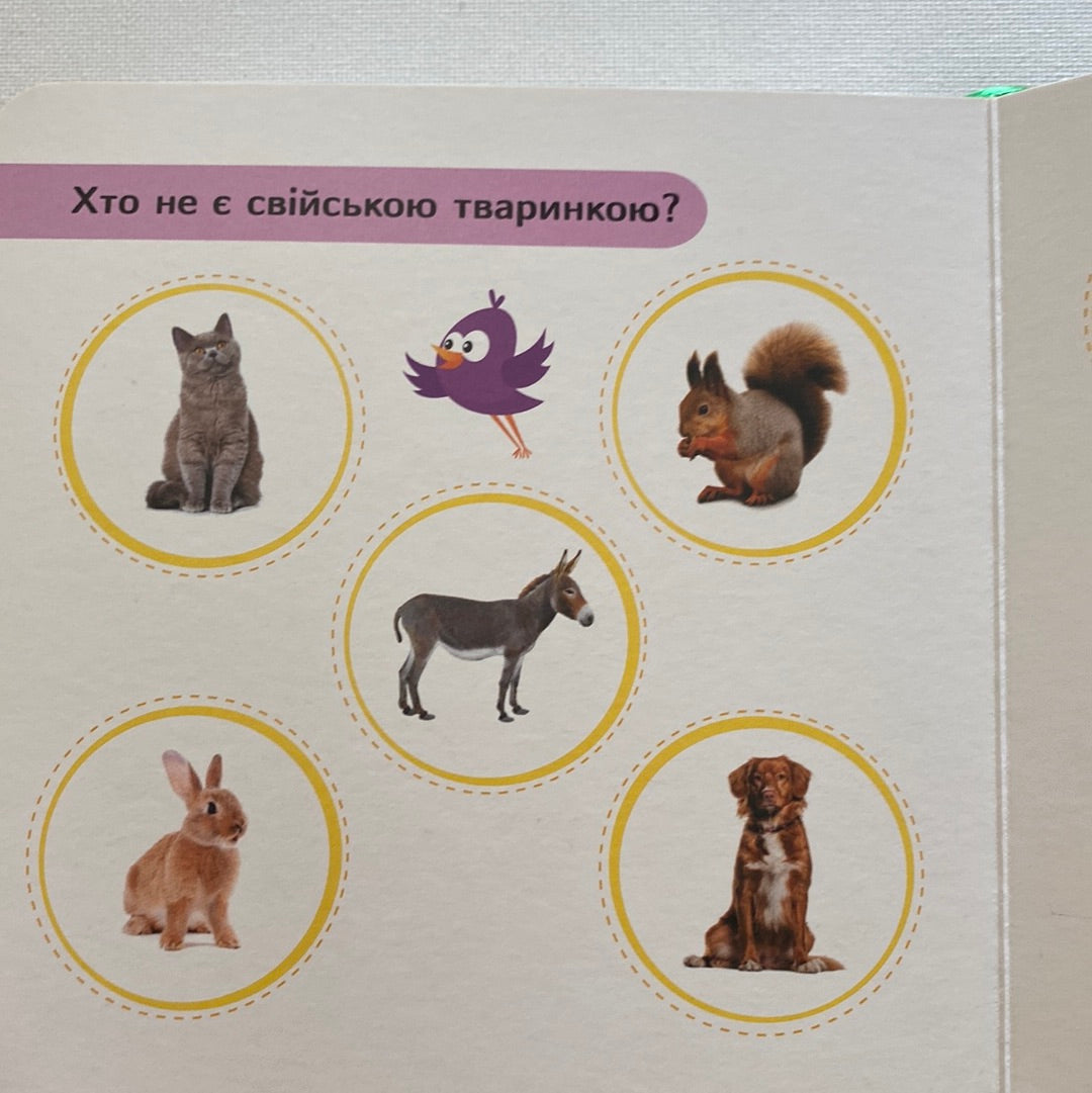 Міркувалочка. Сховай зайве / Розвиваючі книги для дітей в США