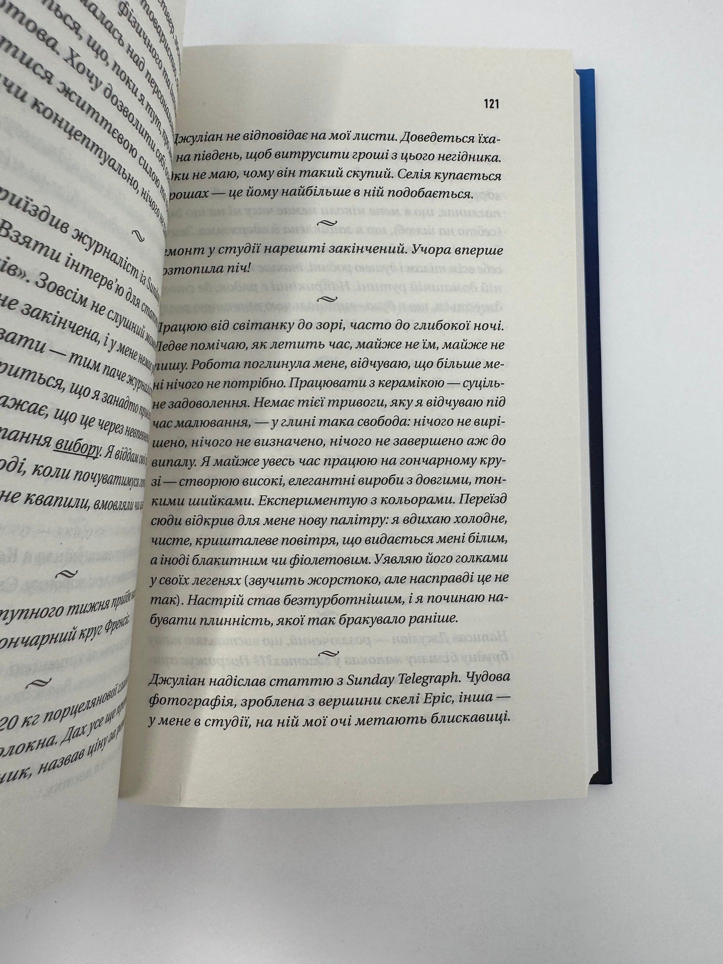 Блакитна година. Пола Гоукінз / Світові трилери купити українською