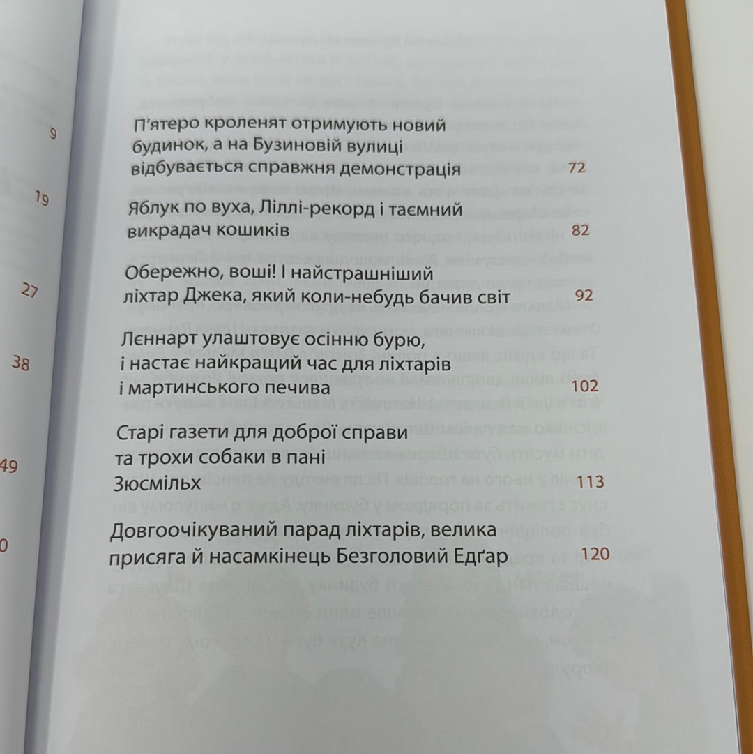 Осінь на Бузиновій вулиці. Мартіна Баумбах / Осінні книги для дітей