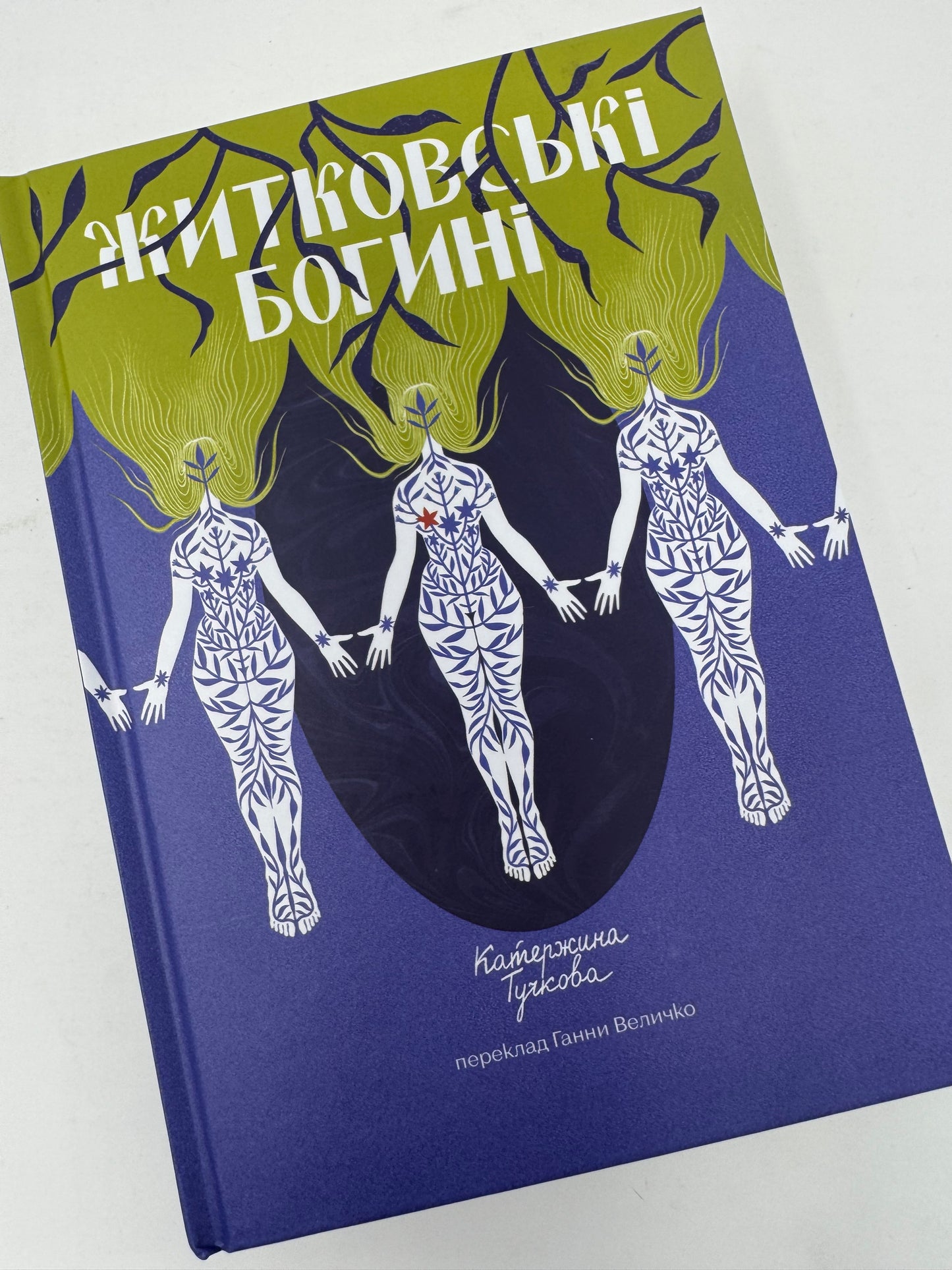 Житковські Богині. Катержина Тучкова / Книги українською купити в США