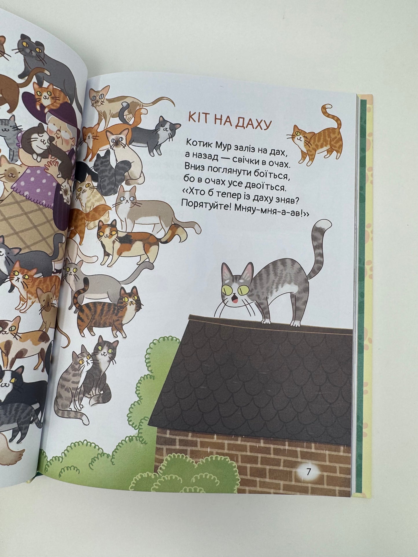 Кому кота? Зоряна Лісевич / Вірші для дітей українські книги