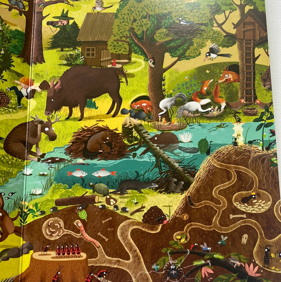 Рік у лісі. Емілія Дзюбак / Пізнавальні книги для дітей