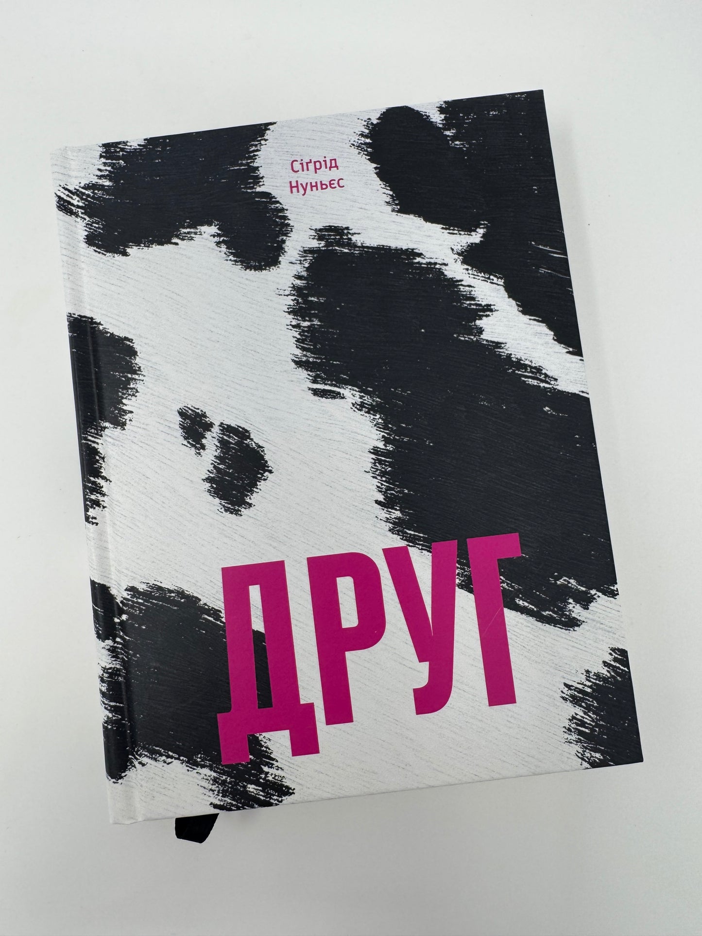 Друг. Сіґрід Нуньєс / Кращі книги світової літератури