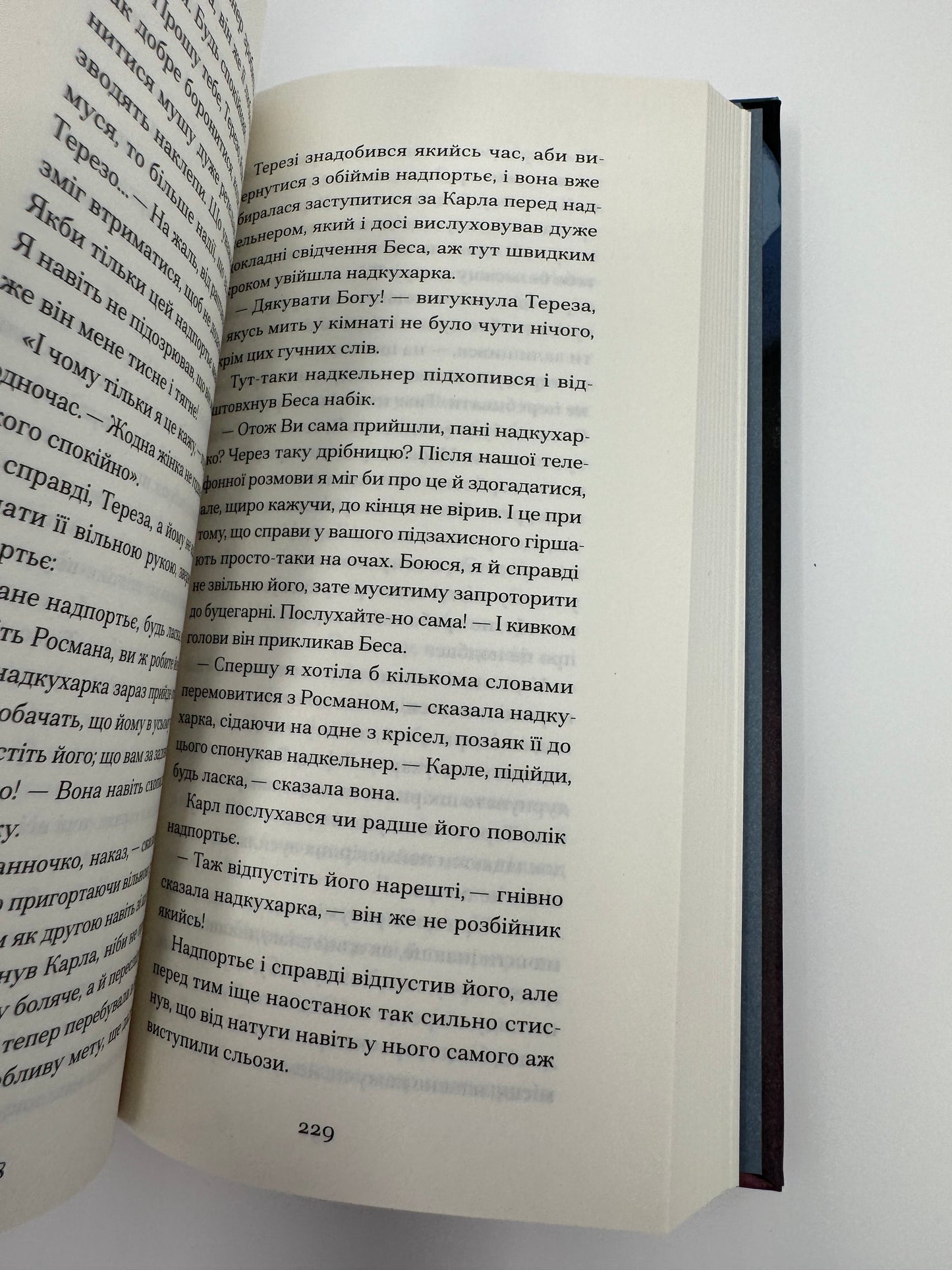 Зниклий безвісти. Франц Кафка / Світова класика літератури купити
