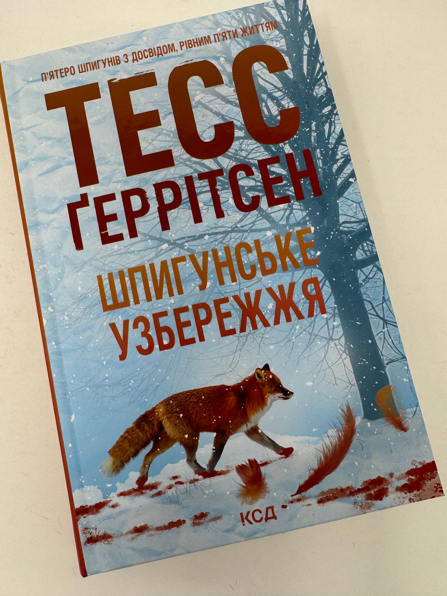 Шпигунське узбережжя. Тесс Ґеррітсен / Світові детективи українською