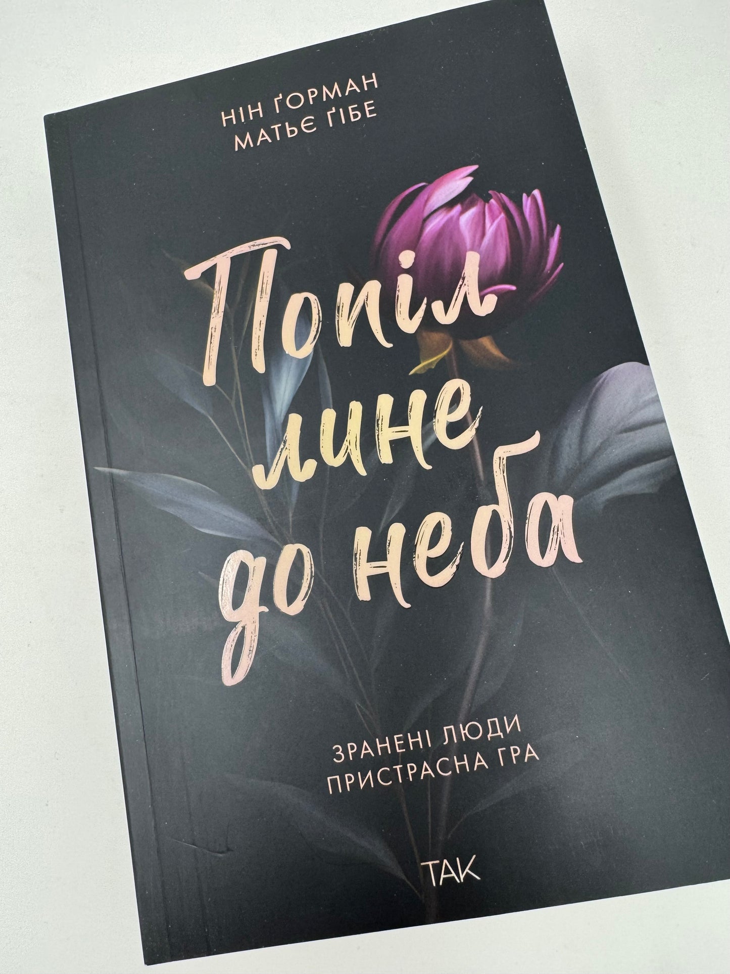 Попіл лине до неба. Том 1. Нін Ґорман. Матьє Ґібе / Книги українською купити в США