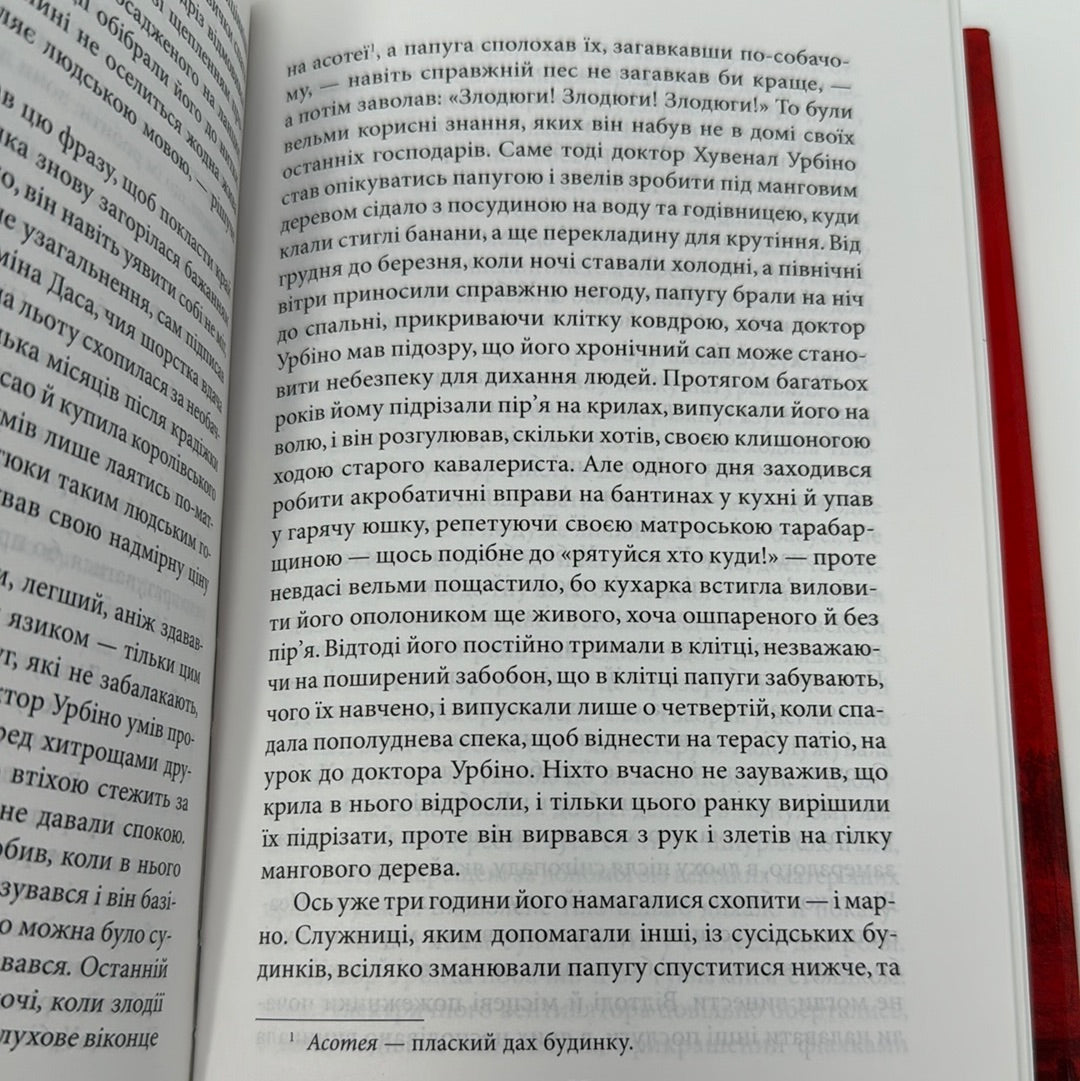 Кохання під час холери. Ґабріель Ґарсія Маркес / Світова класика українською