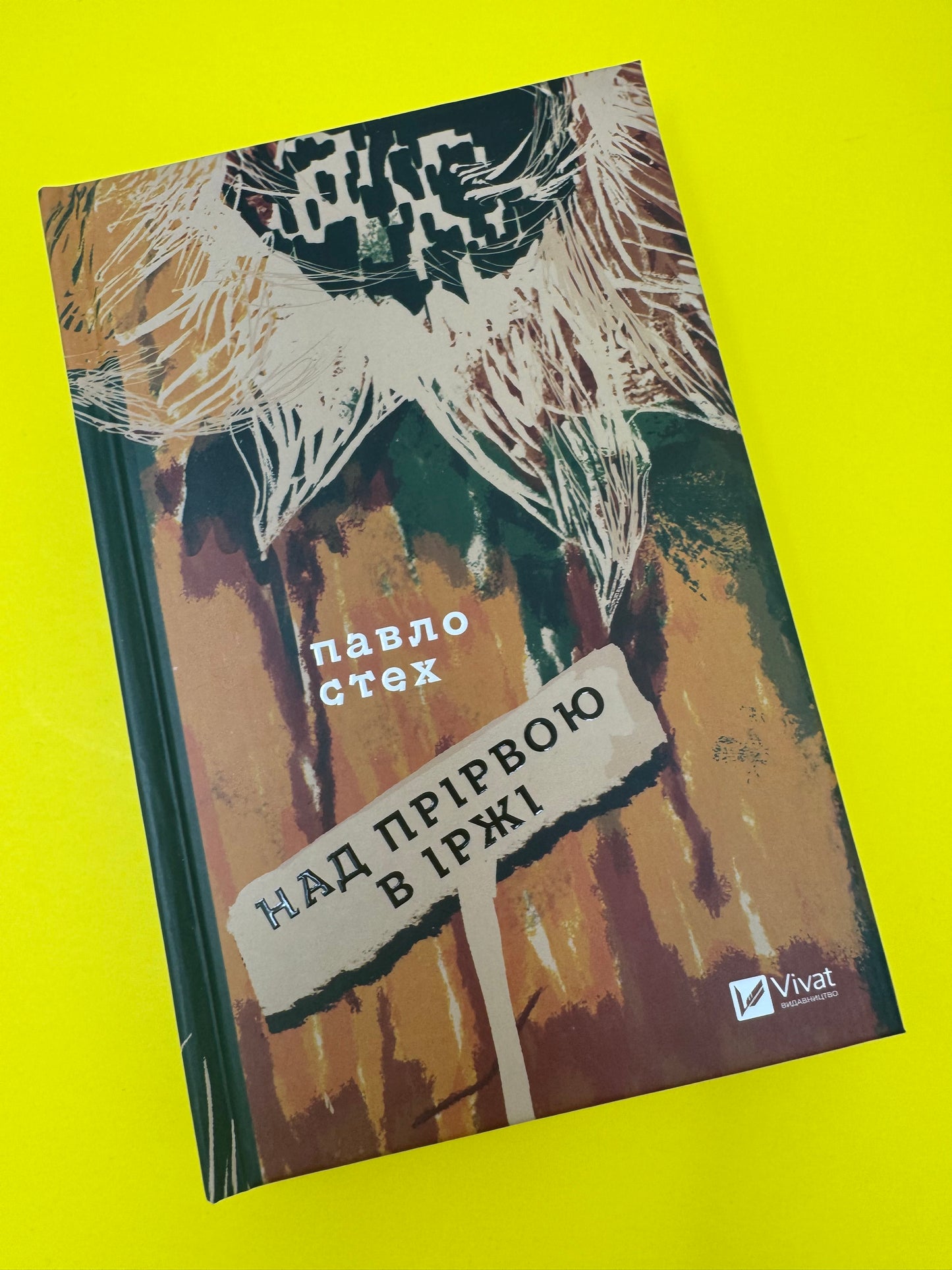 Над прірвою в іржі. Павло Стех / Сучасна українська проза