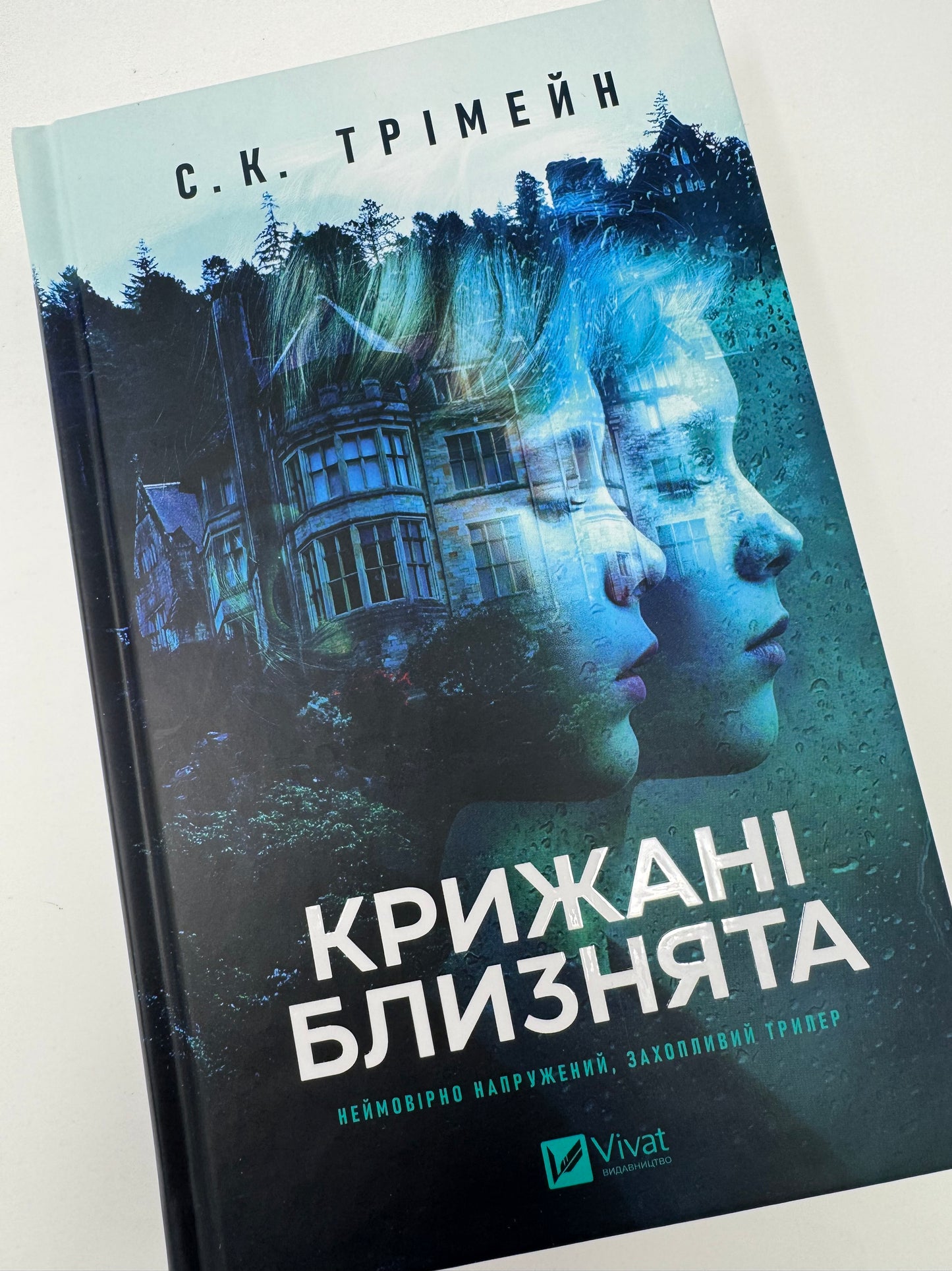 Крижані близнята. С. К. Трімейн / Трилери та детективи купити українською