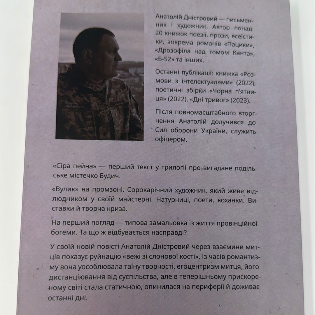 Сіра пейна. Анатолій Дністровий / Сучасна українська проза, книги українських військових