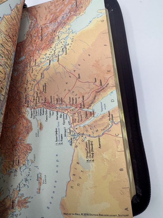 Біблія (сучасний переклад), бордова (замок, замінник шкіри)/ Біблії в перекладі Турконяка