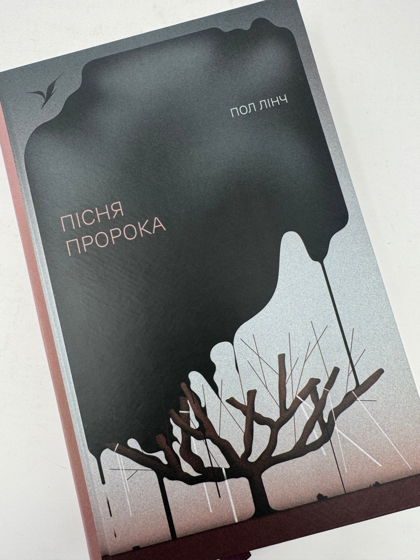 Пісня пророка. Пол Лінч / Краща світова проза українською