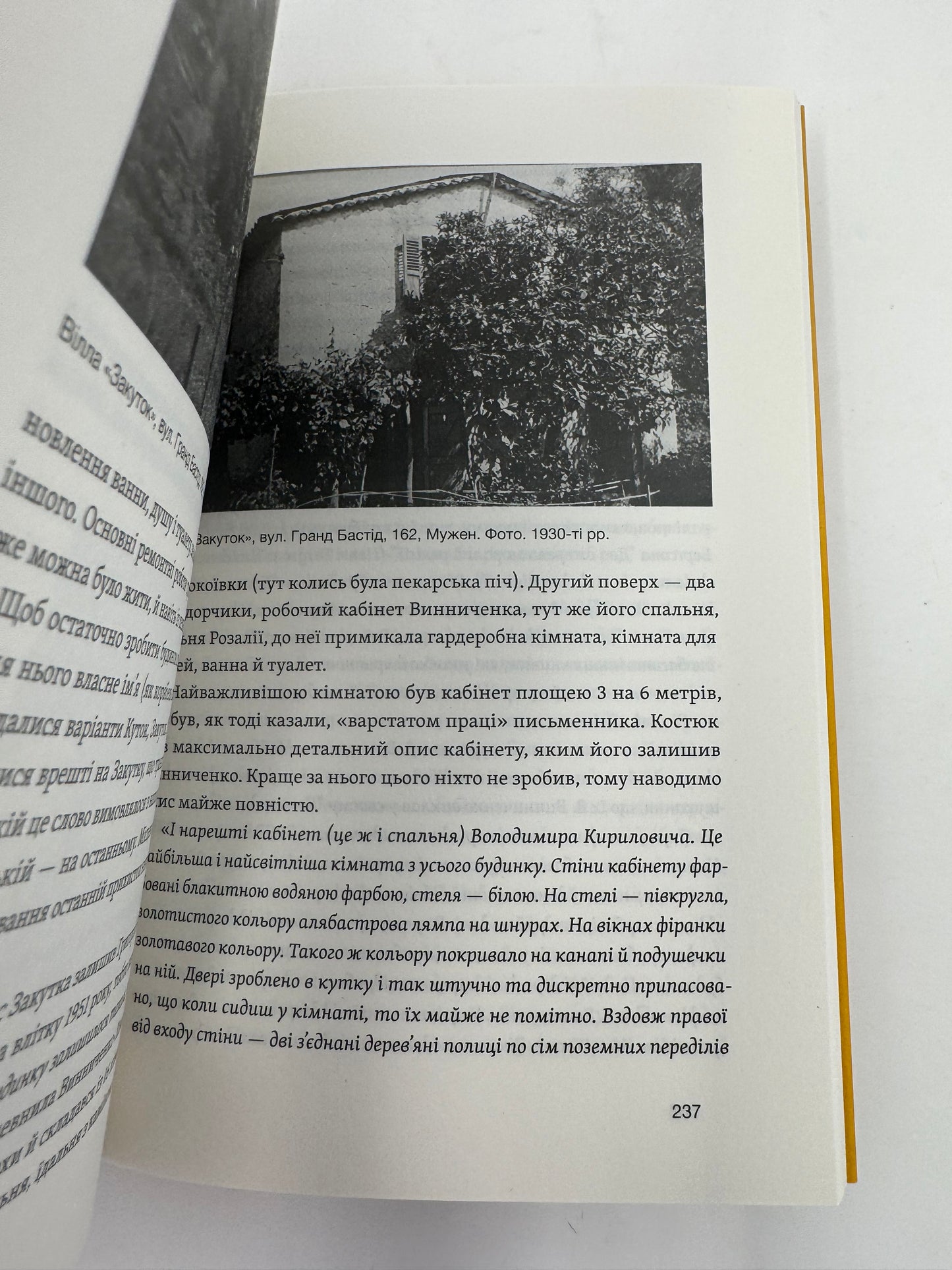 Винниченко з бромом і без. Олександр Кучерук / Книги про українських письменників