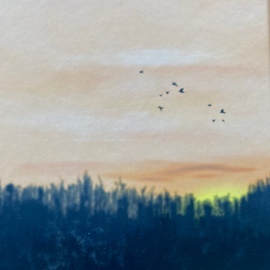 Другу також варто придбати. Олег Сенцов / Книги від відомих людей