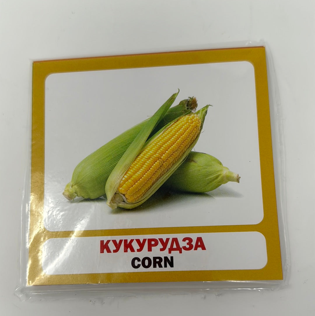 Овочі. Vegetables. Двомовні картки (українська/англійська) / Двомовні картки Домана в США