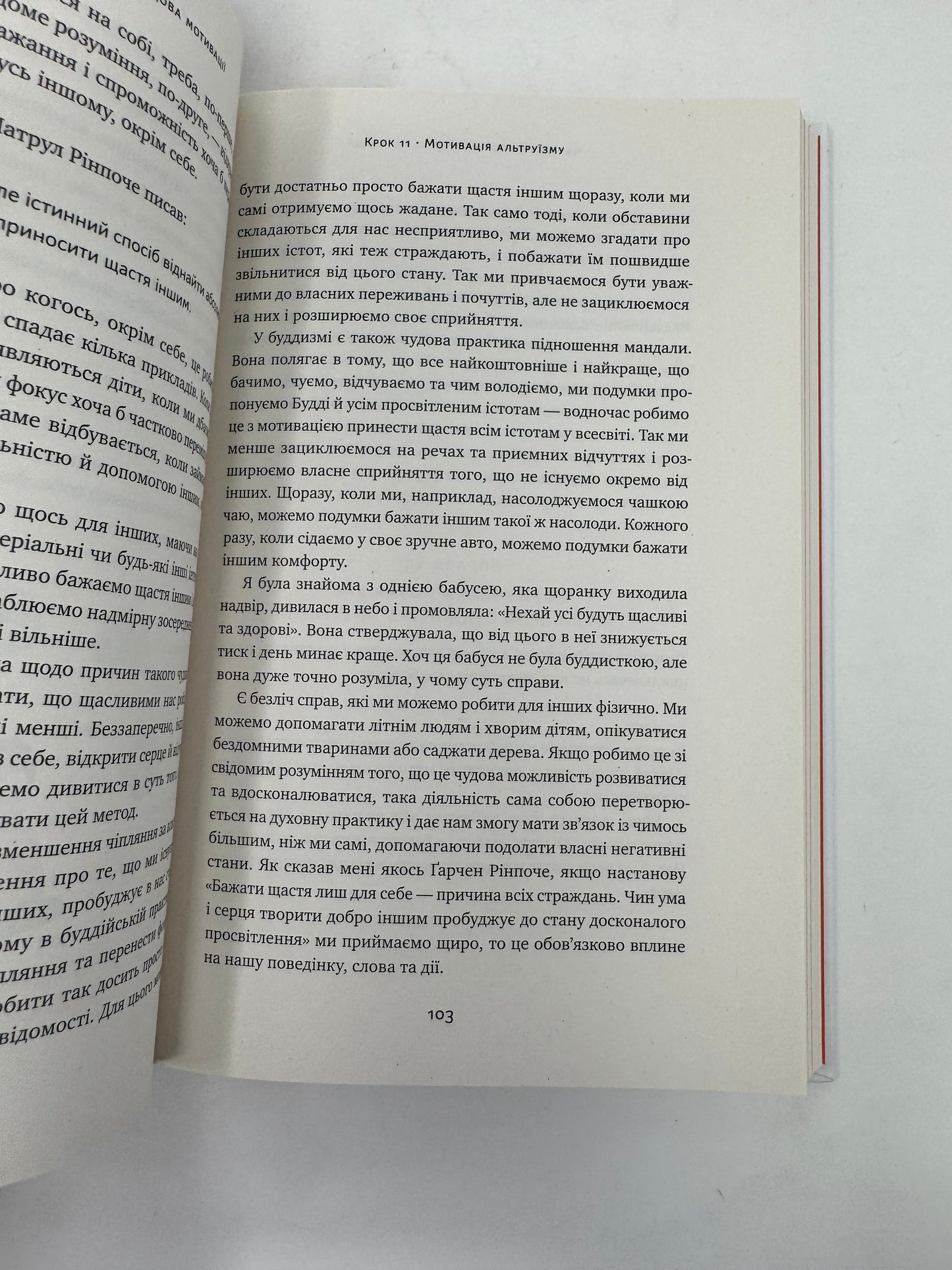 37 буддійських штук. Як пережити бентежні часи / Мотиваційна література та популярна психологія. Ukrainian books for adults in USA