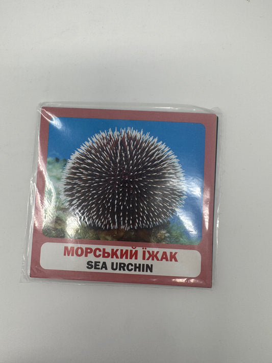 Мешканці морів і океанів. Marine animals. Двомовні картки (українська/англійська) / Двомовні картки Домана в США. Bilingual cards