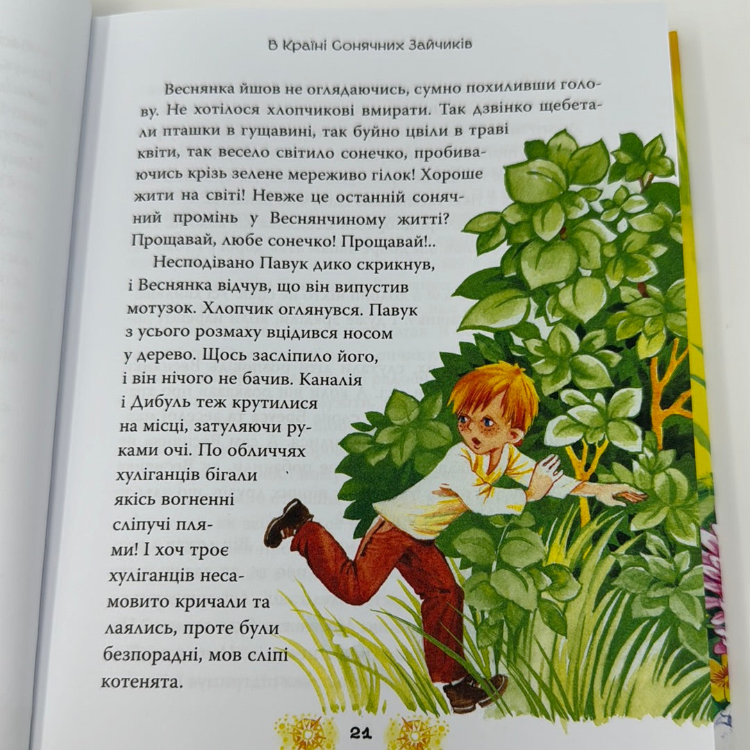 В Країні Сонячних Зайчиків: казкові повісті. Всеволод Нестайко / Українські подарункові книги для дітей