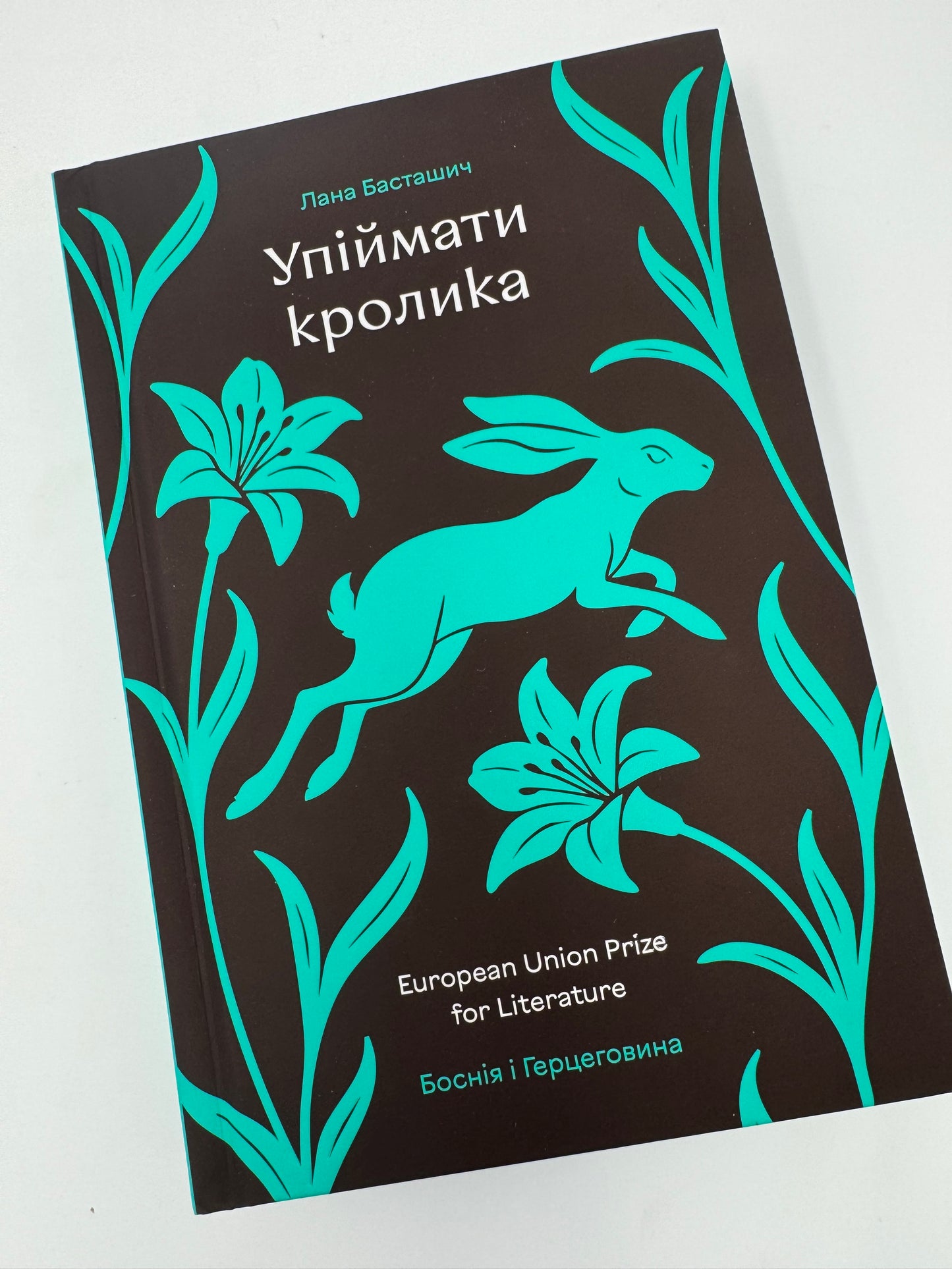 Упіймати кролика. Лана Басташич / Сучасеі світові бестселери
