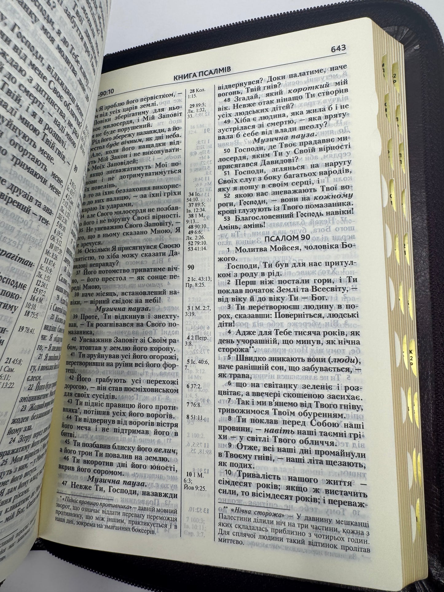 Біблія (сучасний переклад), бордова (замок, замінник шкіри)/ Біблії в перекладі Турконяка