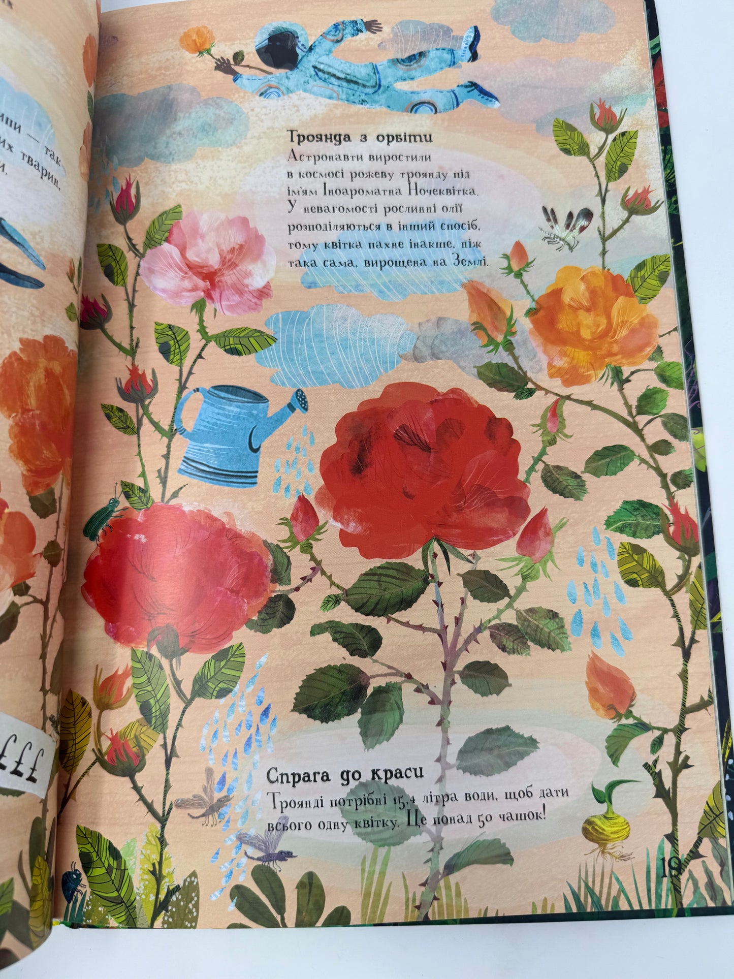 Велика книга квітів. Ювал Зоммер / Дитячі енциклопедії українською
