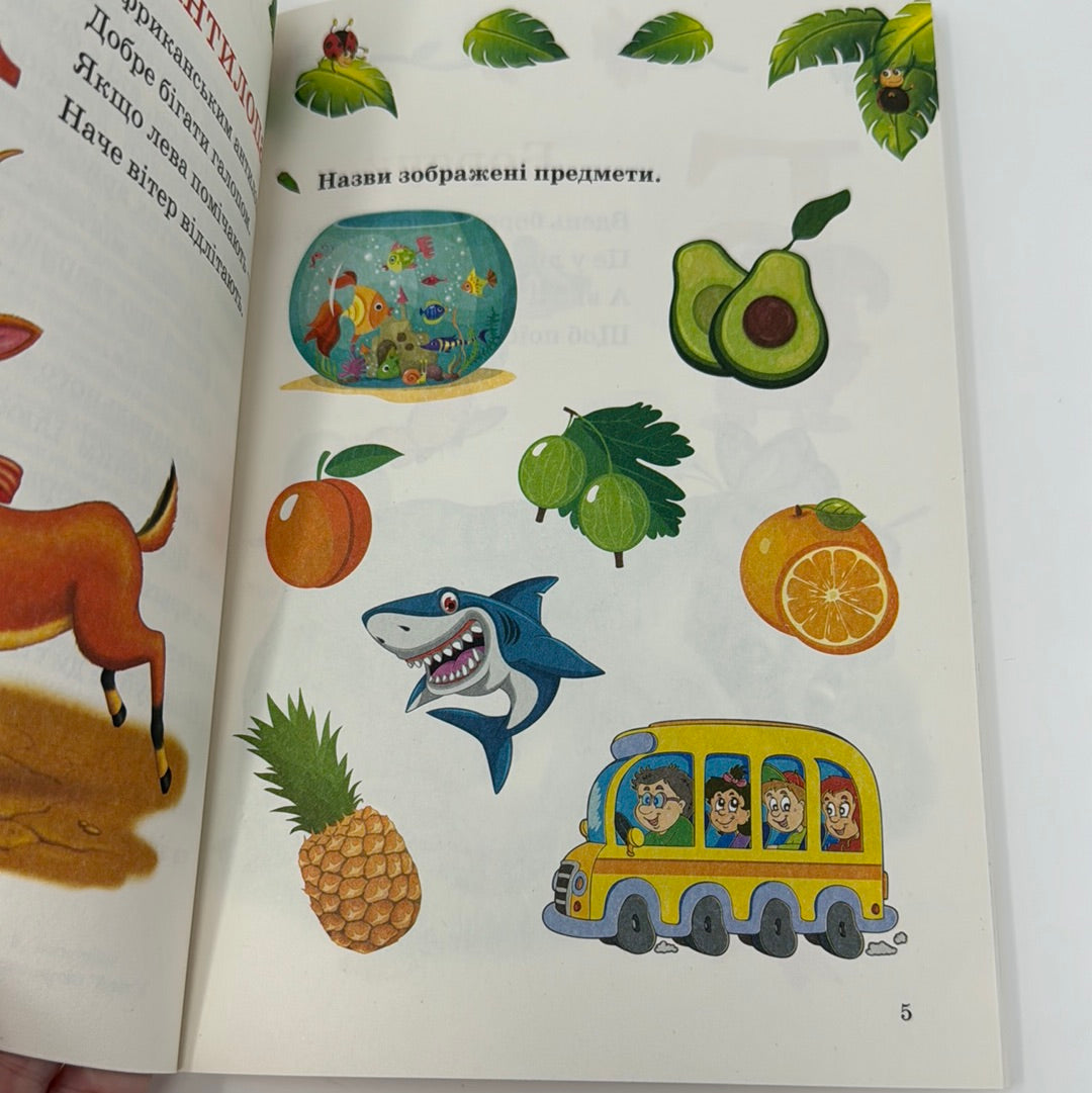 Пухнаста абетка й лічба / Українські книги для дітей в США