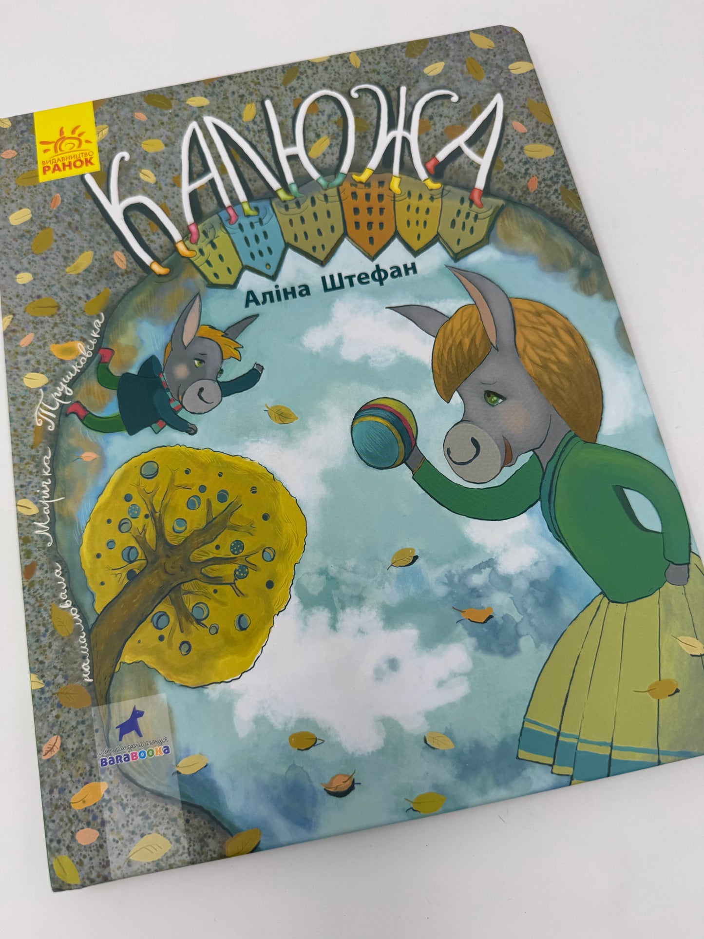 Калюжа. Аліна Штефан / Книги-картинки українською купити в США