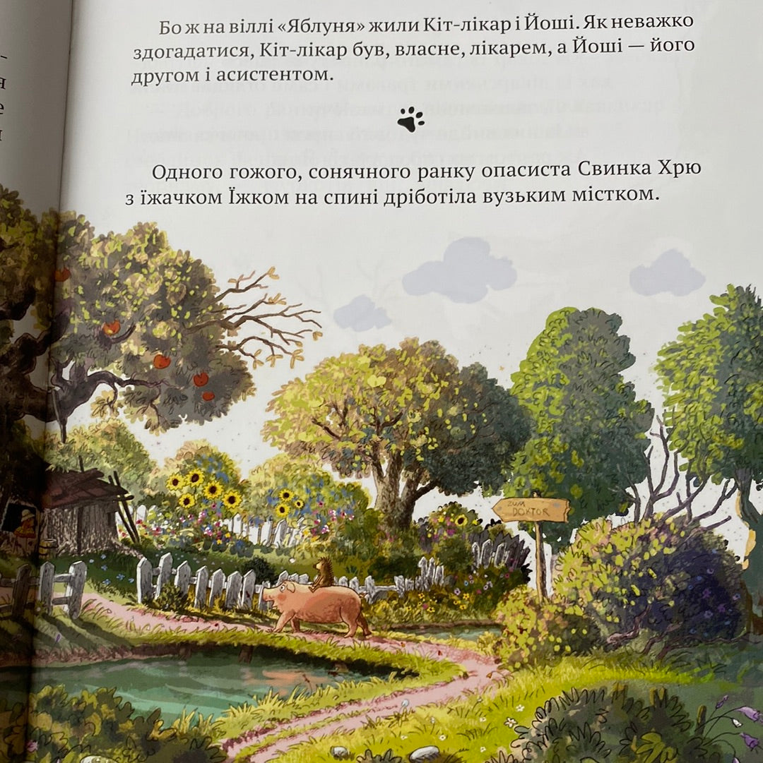 Кіт-лікар. Заблукала вівця. Валько / Найкращі українські книги в США