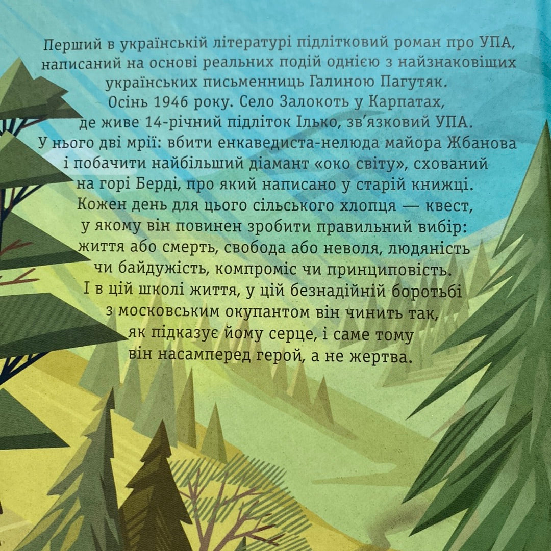 Око світу. Галина Пагуляк / Художні історичні книги для дітей