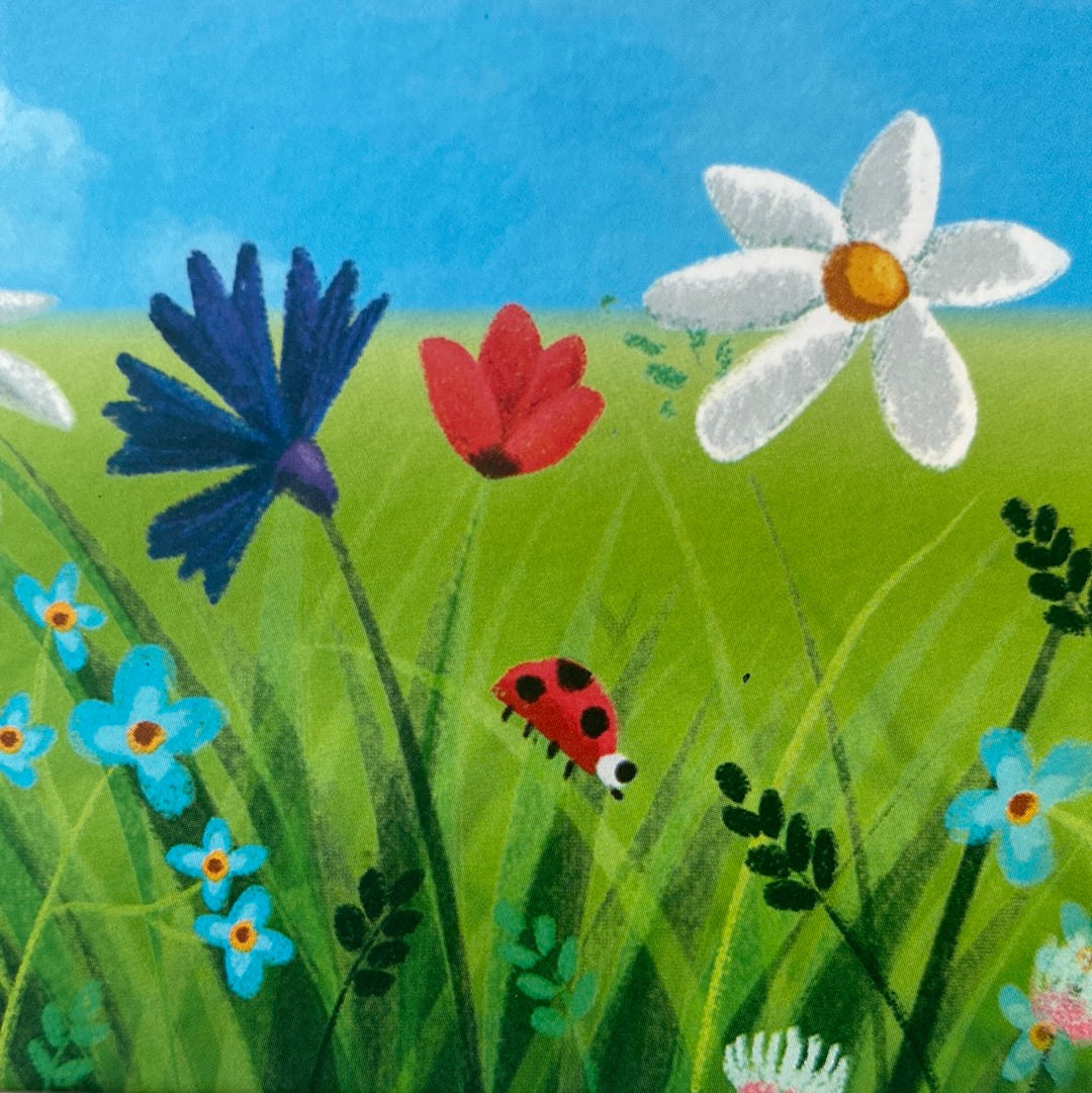 Песик, який рахував хмаринки. Ірина Мацко / Книги для дітей в США