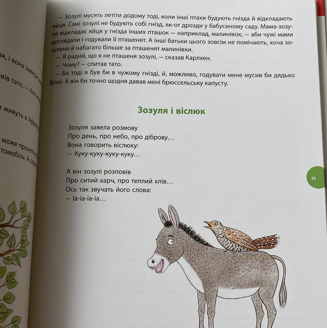 Карлхен. Пригоди цілий рік. Ротраут Сузанне Бернер / Улюблені книги дітей в США