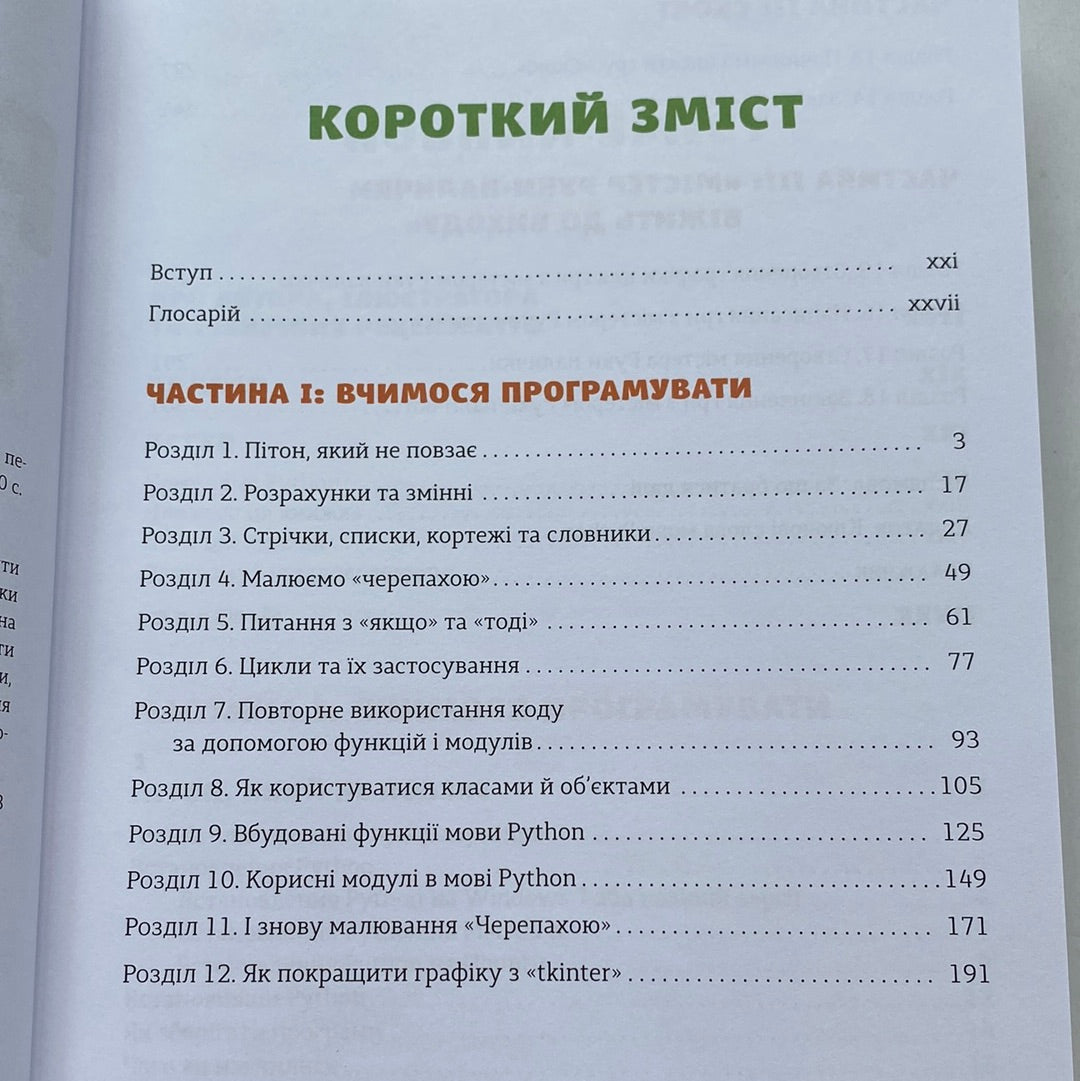 Python для дітей. Веселий вступ до програмування. Джейсон Р. Бріґґс / Книги з програмування для дітей