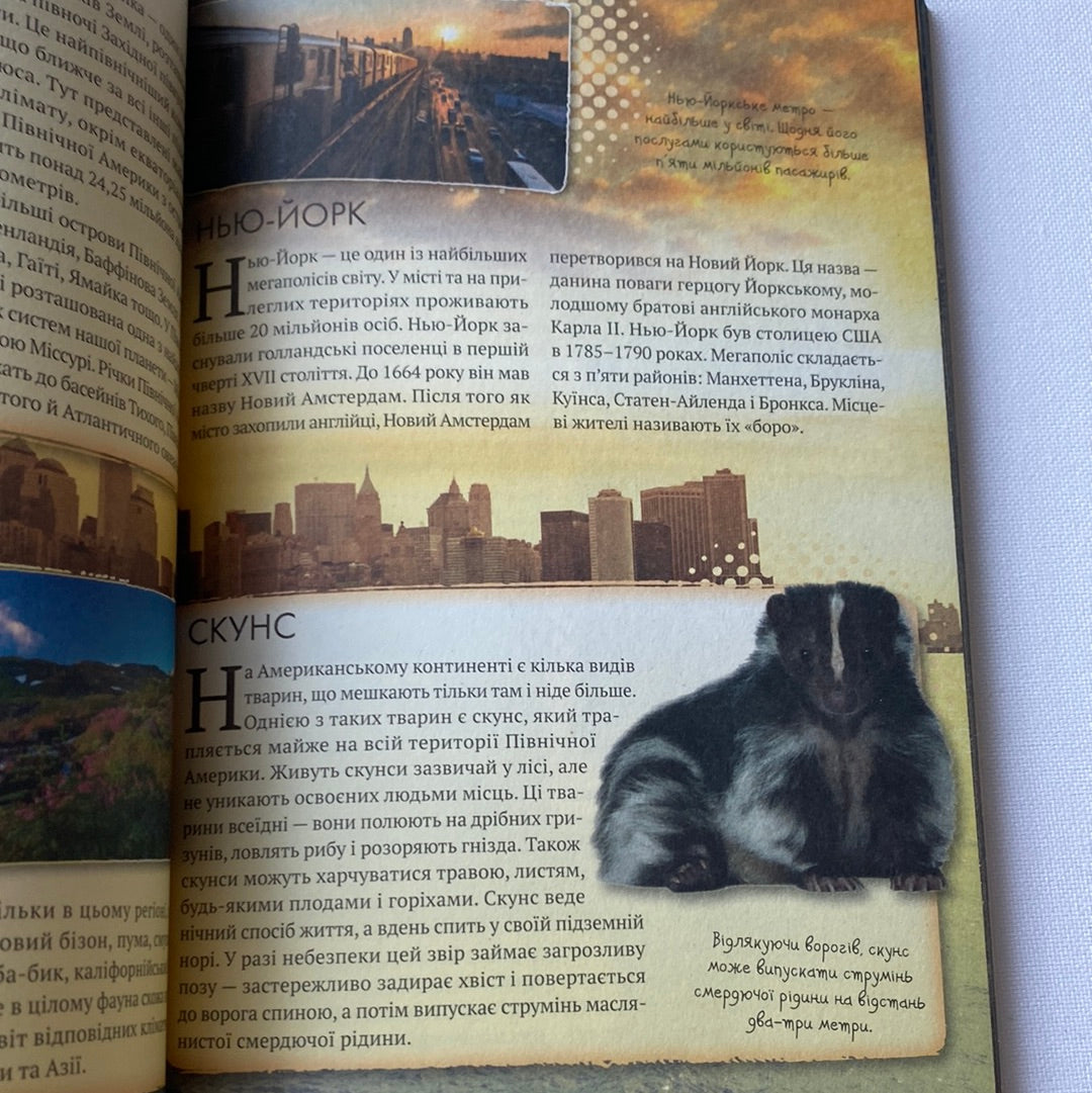 Усе про все. Улюблені книжки у зручному форматі / Дитячі енциклопедії в США