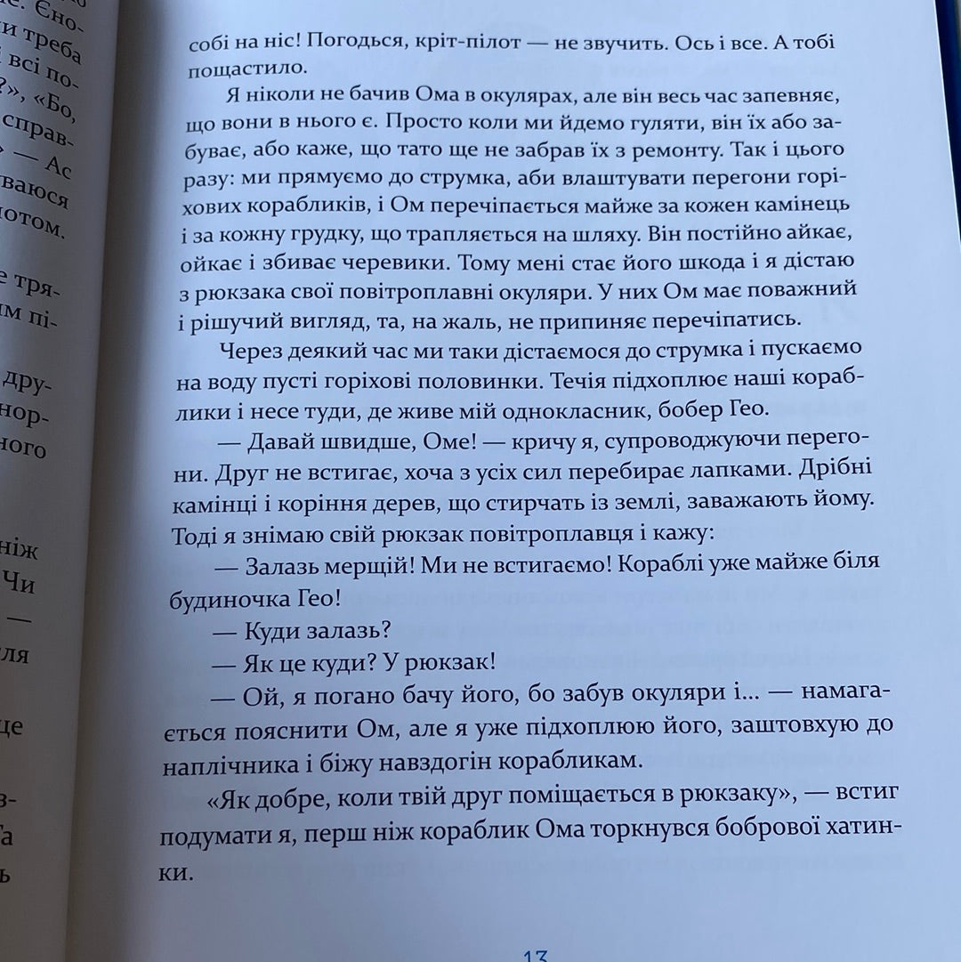Єнотик Бо і повітряна куля. Ірина Лазуткіна / Улюблені українські дитячі книги