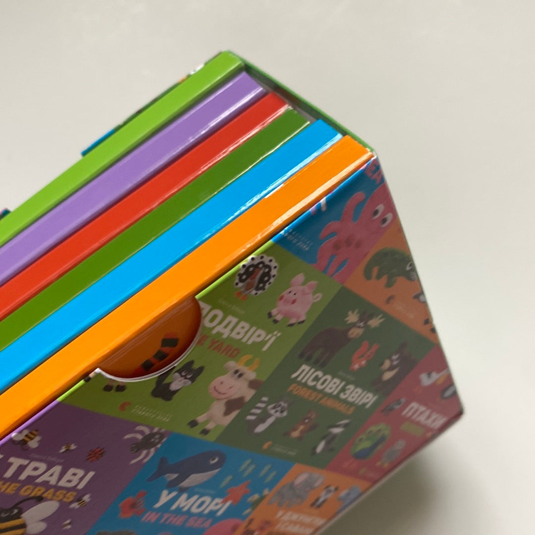 Двомовні книжки для найменших (комплект з 6 книжечок) / Board books for kids in Ukrainian
