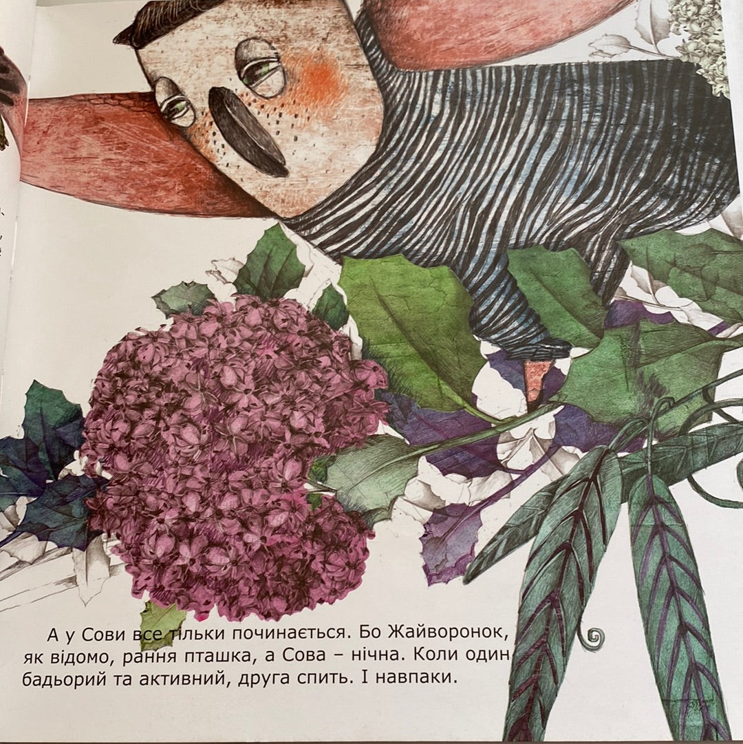 Сова, яка хотіла стати жайворонком. Галина Вдовиченко / Важливі книги для дітей