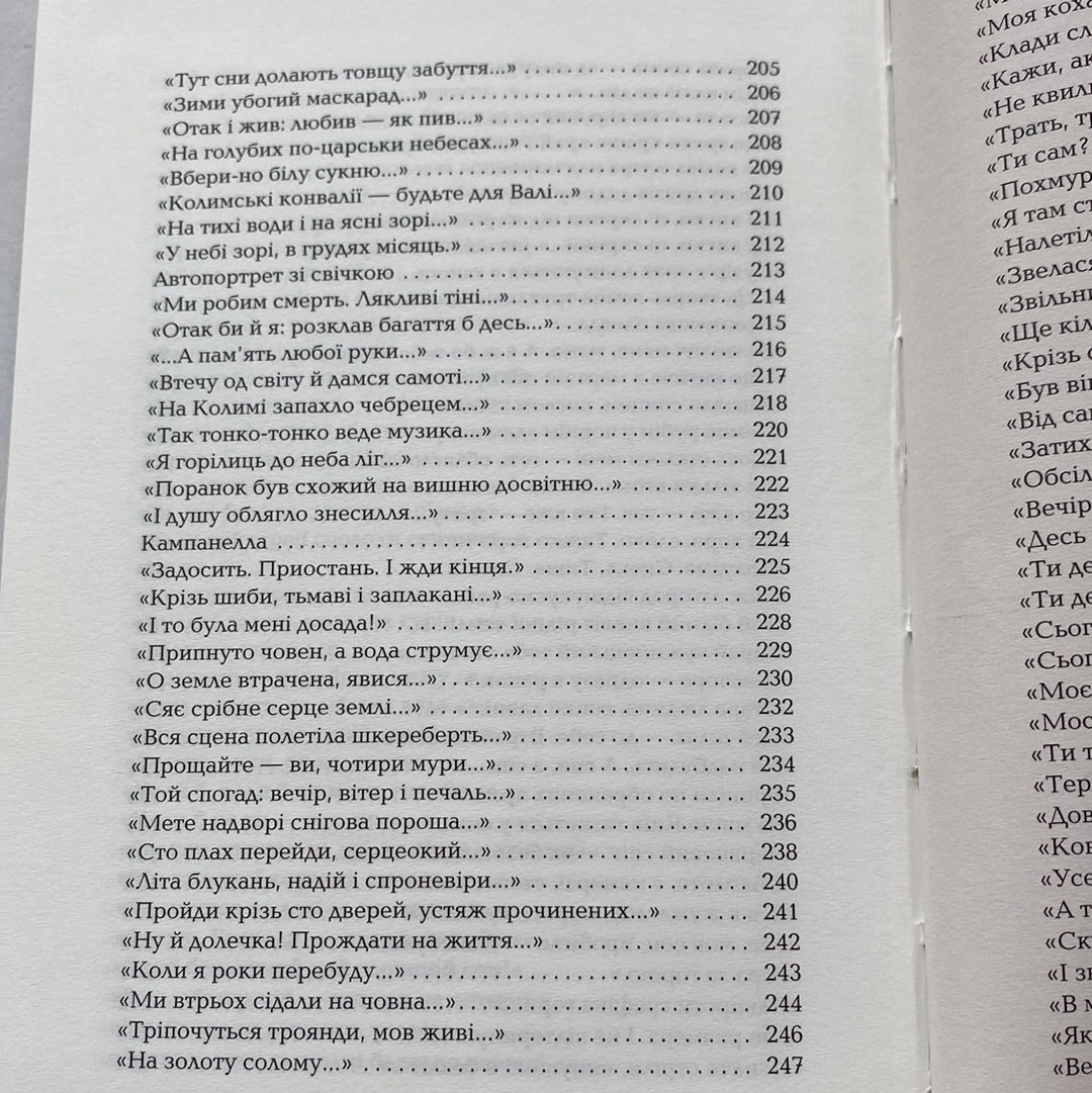 Палімпсести. Вибрані вірші. Василь Стус / Найкращі українські вірші в США