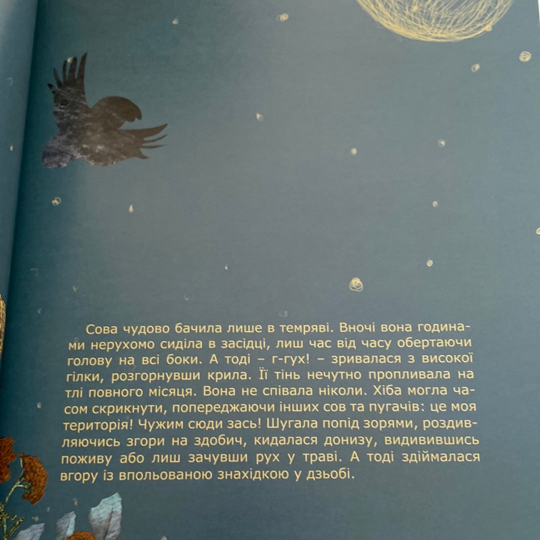 Сова, яка хотіла стати жайворонком. Галина Вдовиченко / Важливі книги для дітей
