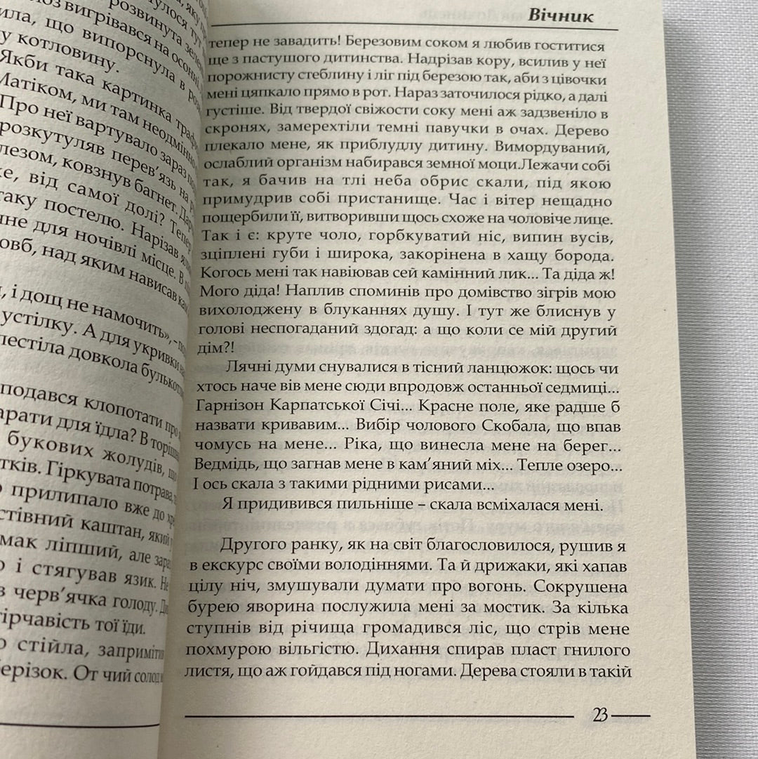Вічник. Сповідь на перевалі духу. Мирослав Дочинець / Духовні книги українською