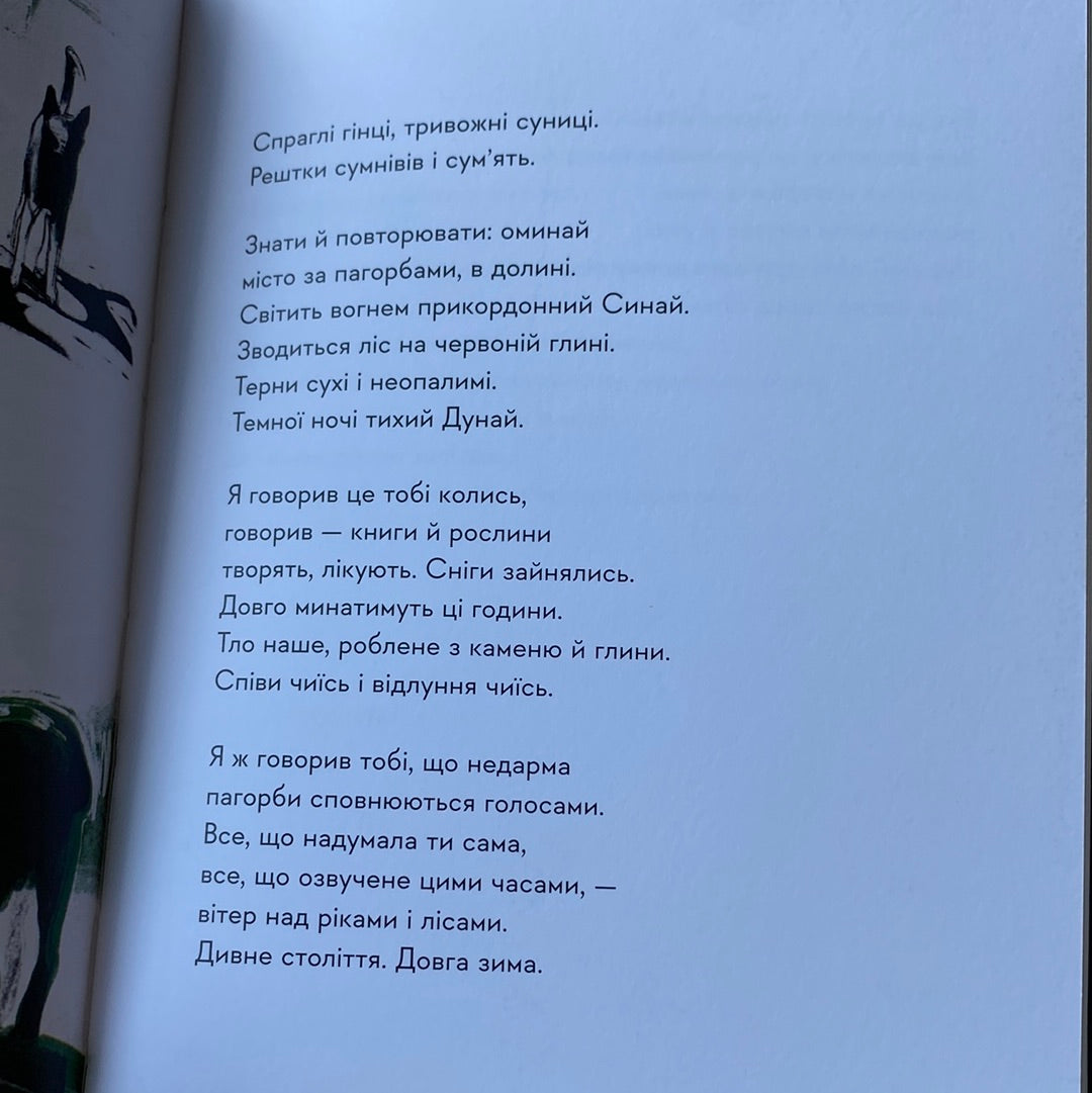 30 віршів про любов і залізницю. Сергій Жадан / Книги Жадана в США