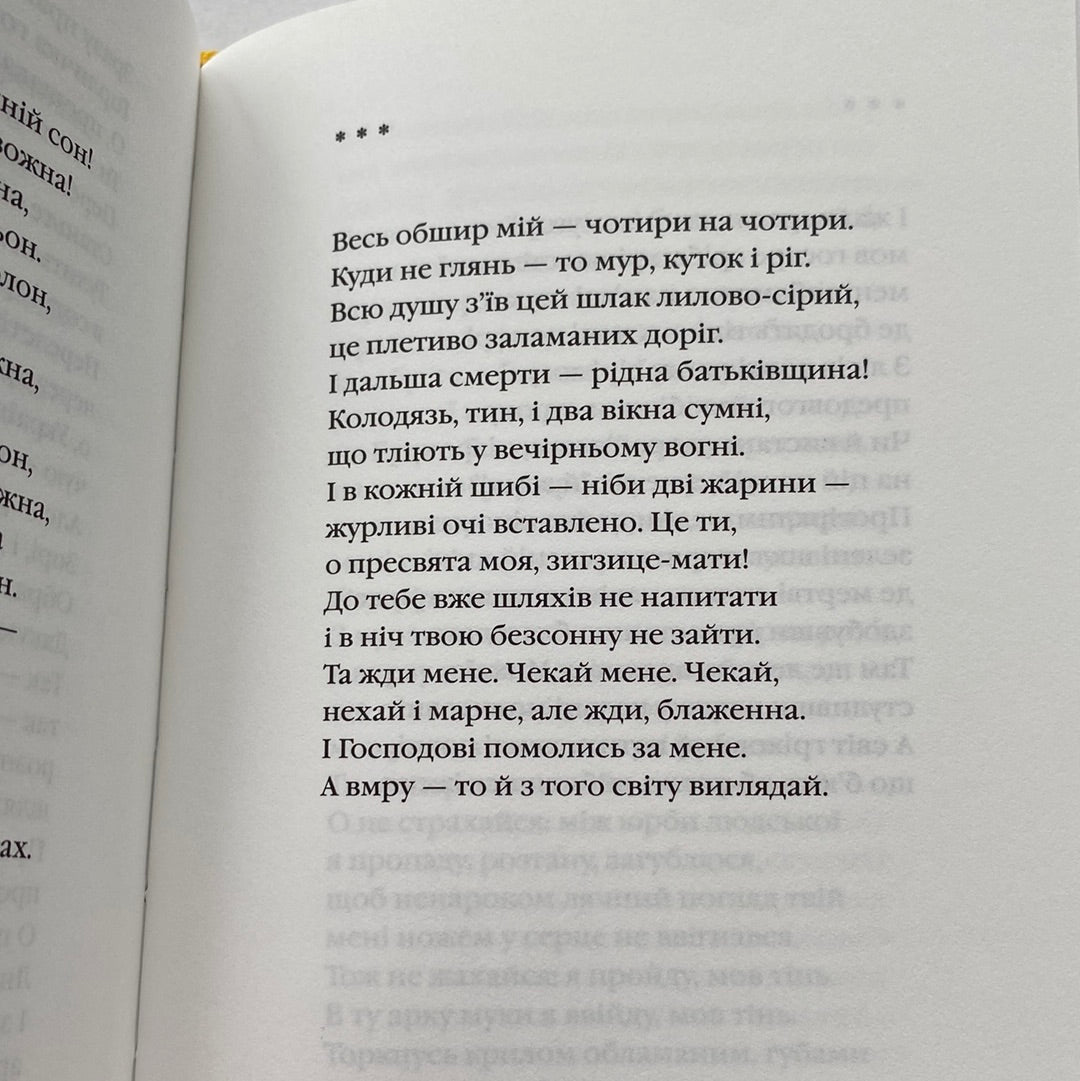 Палімпсести. Вибрані вірші. Василь Стус / Найкращі українські вірші в США