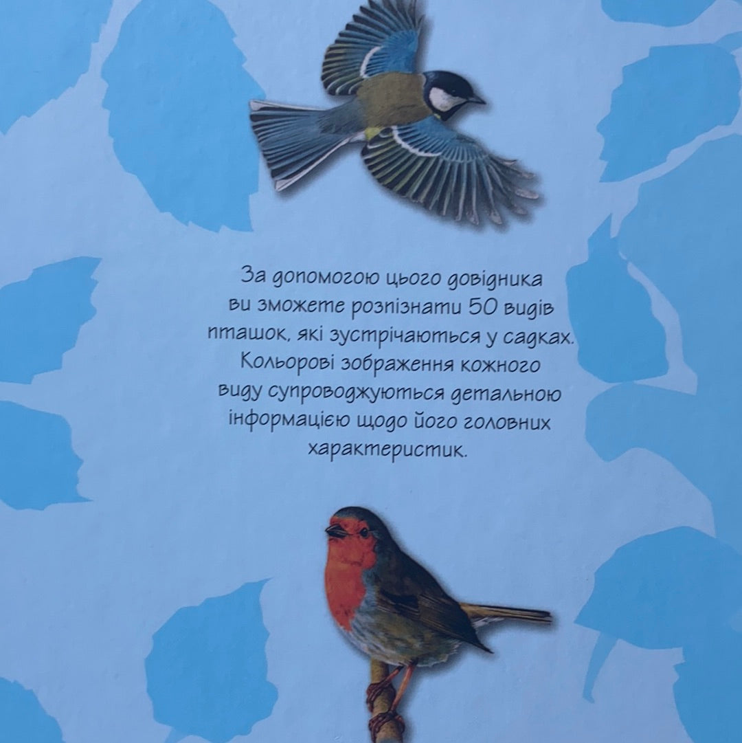 Птахи наших садків. Міні-енциклопедія / Children's book from Ukraine. Дитячі енциклопедії