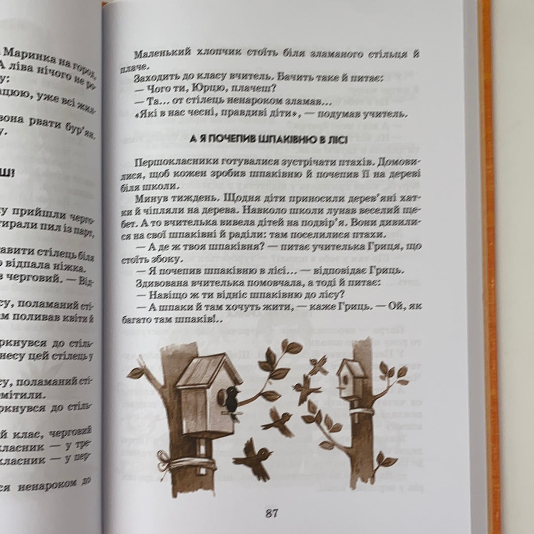 Квітка сонця. Василь Сухомлинський