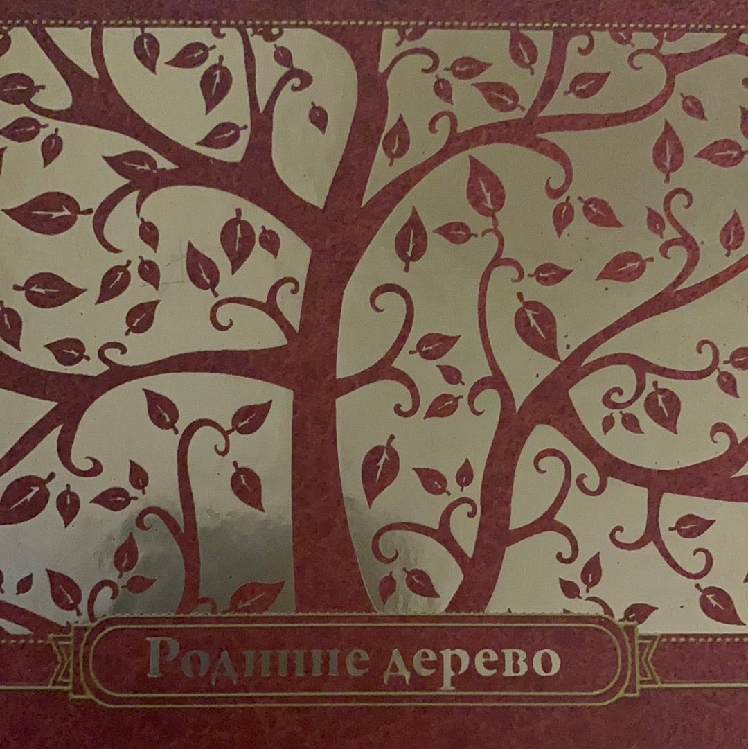 Книга мого роду. Родинне дерево / Подарункові видання та альбоми для українців. For children about Ukraine